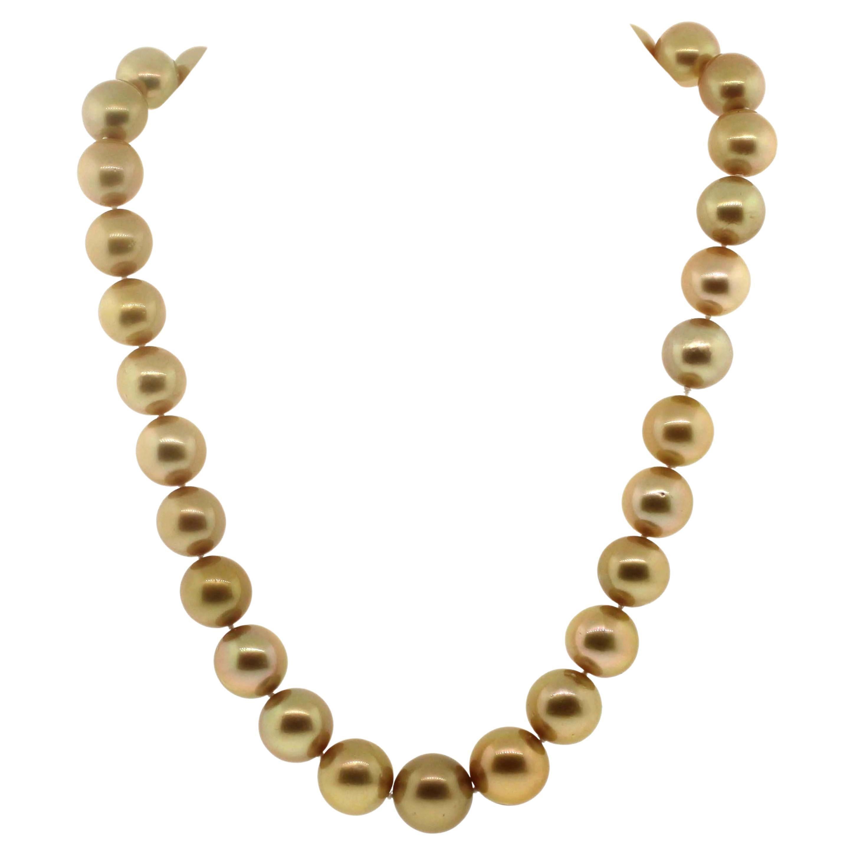 golden south sea pearls price