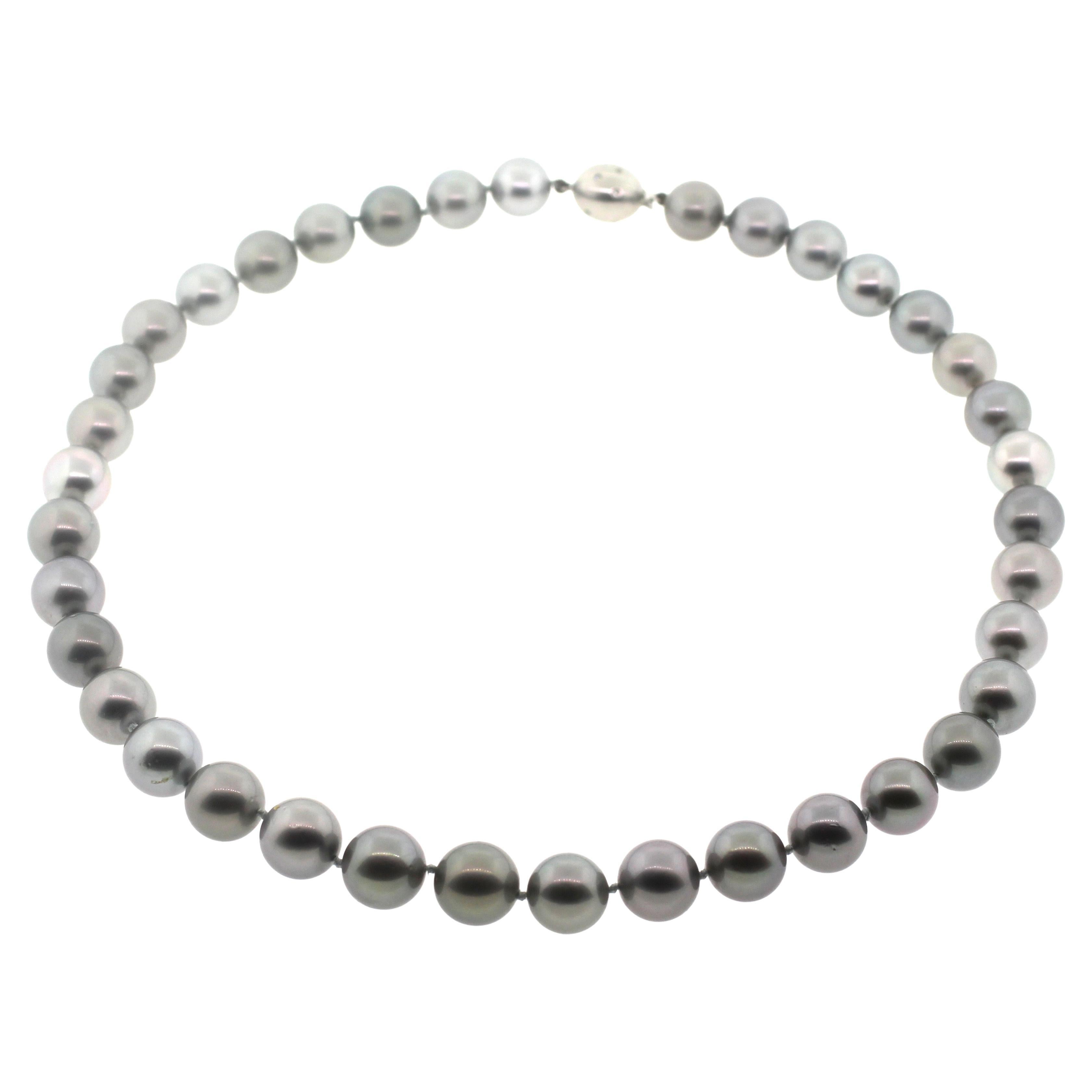Women's Hakimoto 14x12 mm Tahitian Grey Necklace 18K Diamond White Gold Clasp For Sale