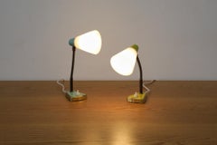 Hala Style Petite Turquoise Gooseneck Table or Wall Lamp