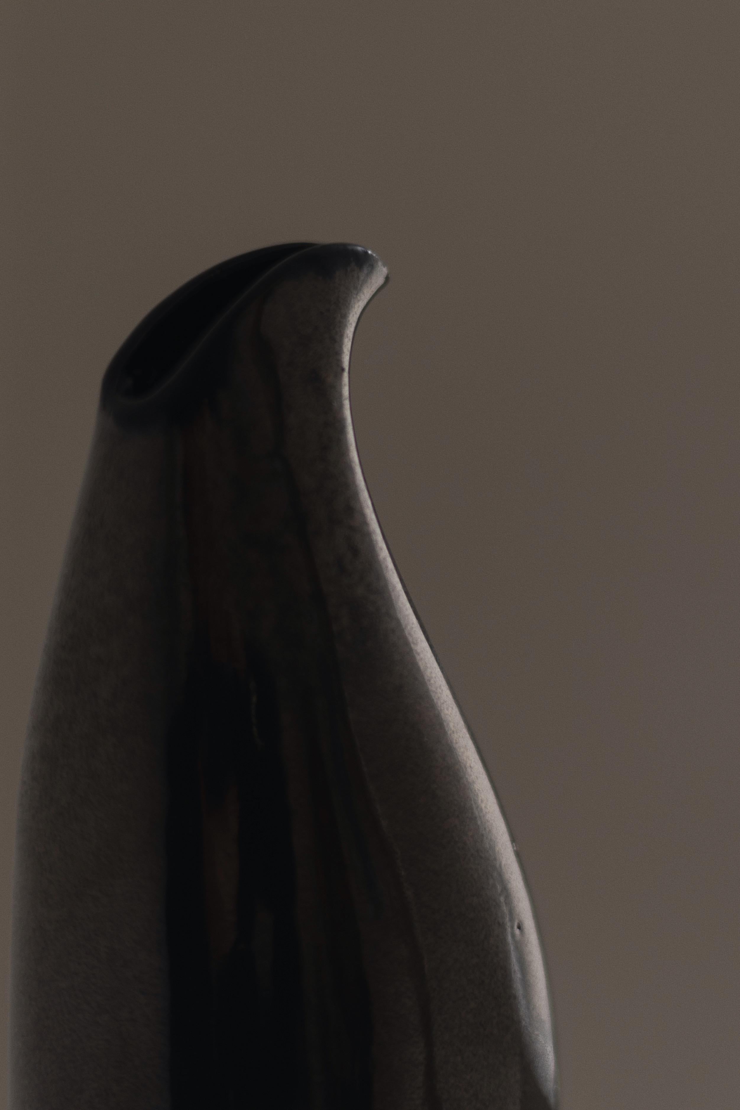 Quel plus grand symbole de liberté que l'acte de voler ? L'observation des oiseaux devient une méditation quotidienne, un rappel constant de la plénitude qui émerge lorsque nous nous sentons libres, et de cette fragilité délicate qui peut nous