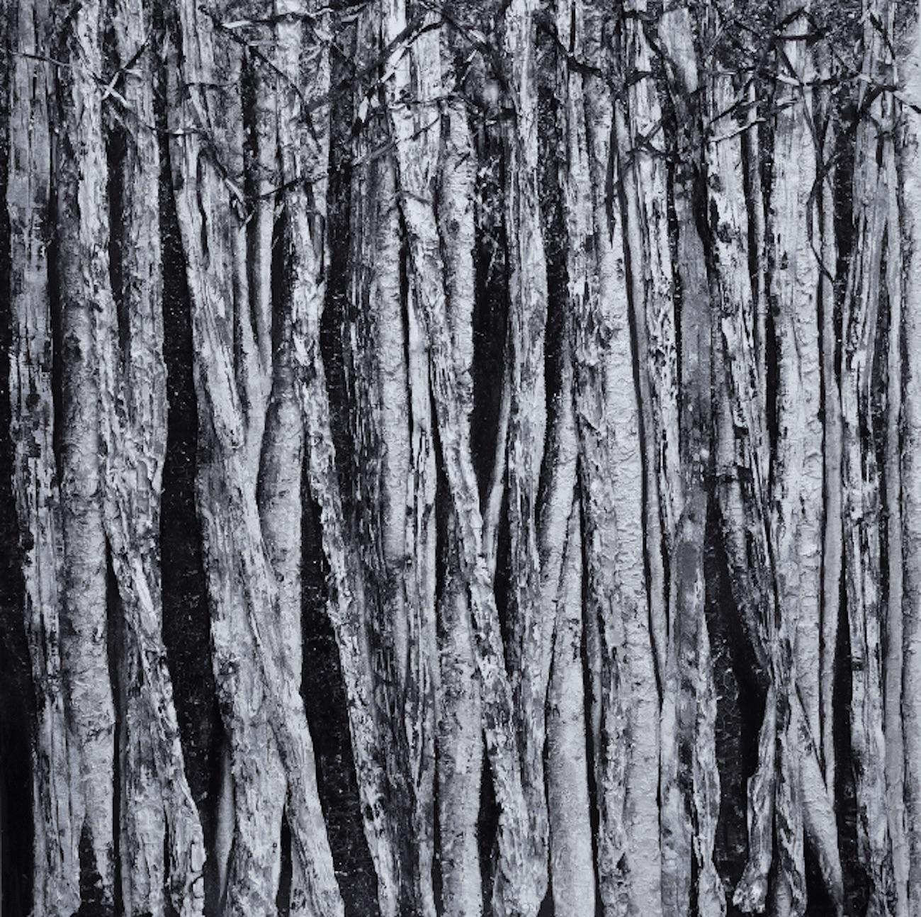 Haleh Mashian Landscape Painting - Intertwined in Moonlight