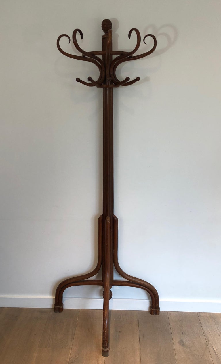 HalfMoon Parrot Coat Hanger For Sale at 1stDibs