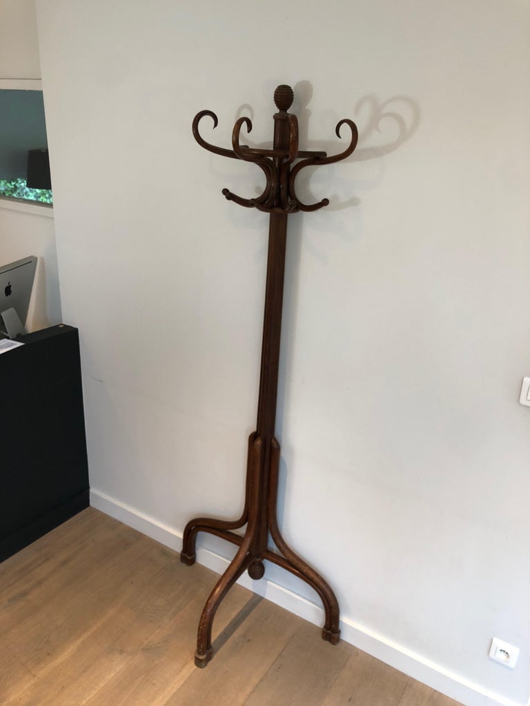 HalfMoon Parrot Coat Hanger For Sale at 1stDibs