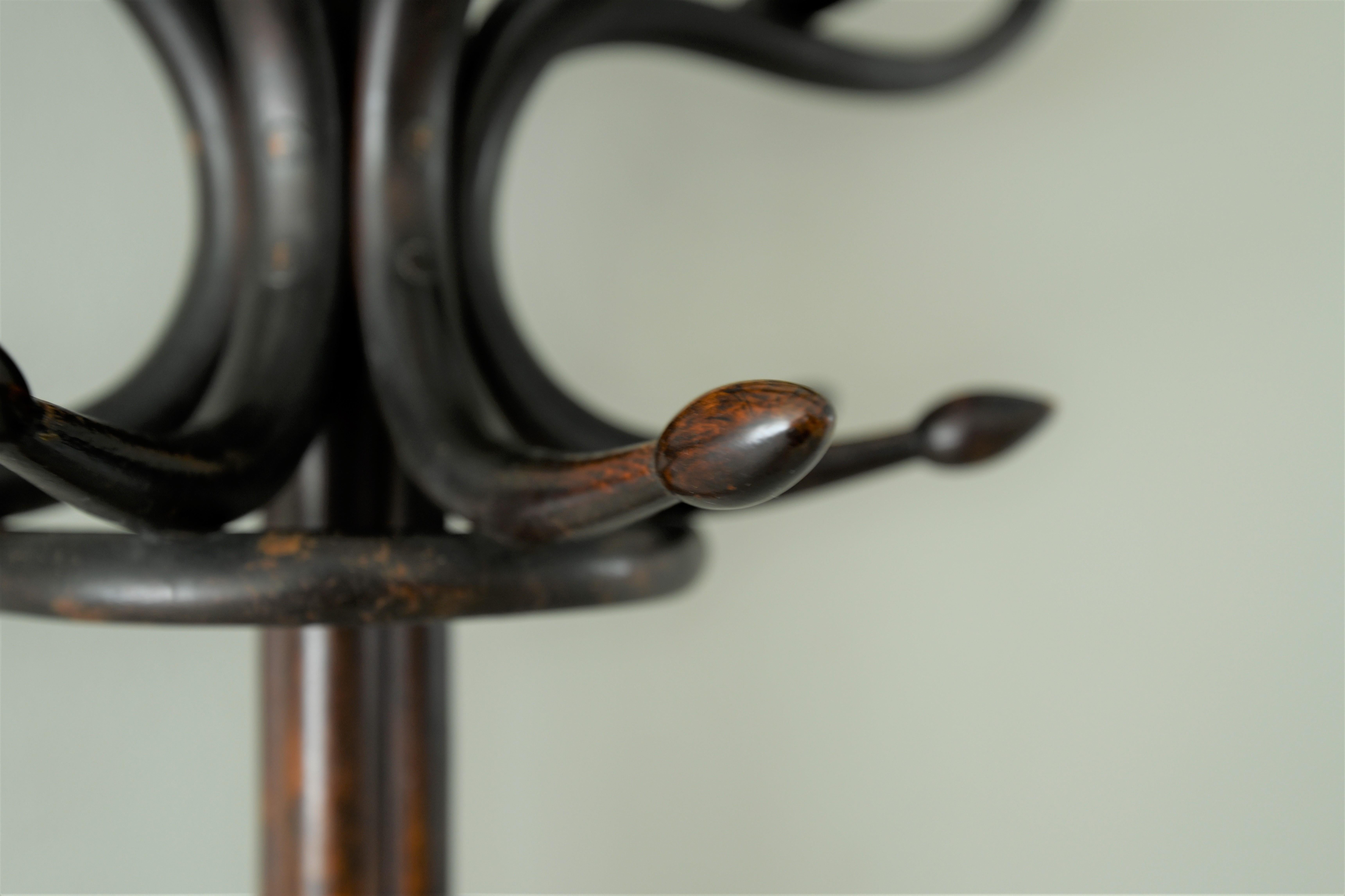 Early 20th Century Half Round Bentwood Hall Stand, Thonet Coat Stand