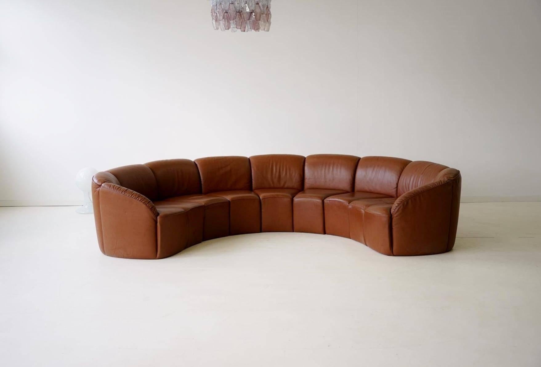 Half Round Leather Lounge Sofa by Walter Knoll, 1960s 1