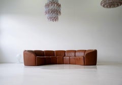 Half Round Leather Lounge Sofa by Walter Knoll, 1960s