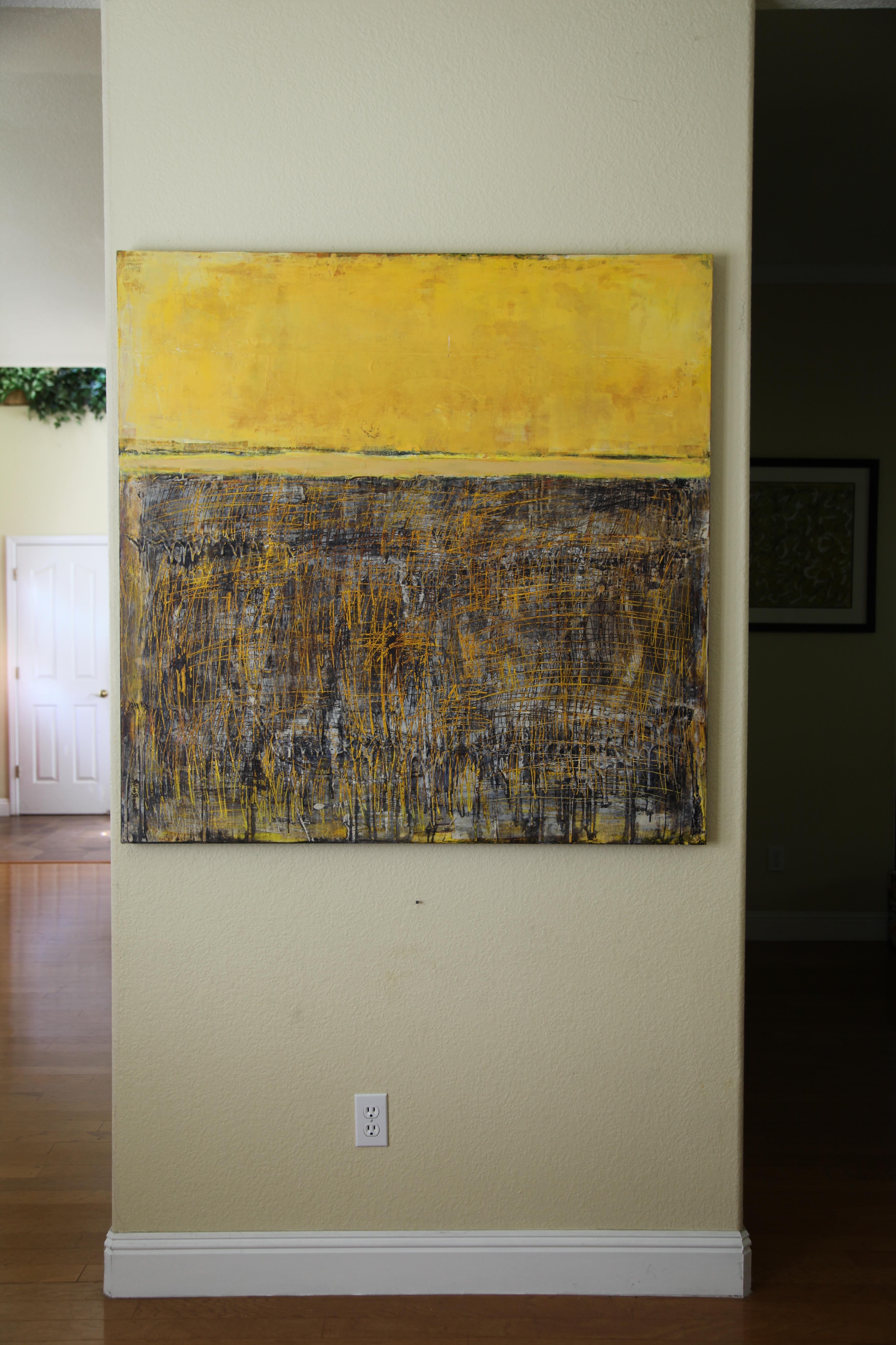 Orange Trees For Sale 2