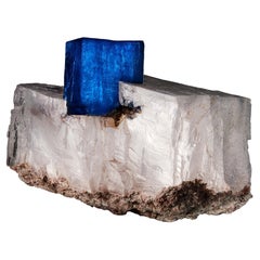Halite on Sylvite, PCA Mine, Carlsbad Potash Mining District, NM, USA