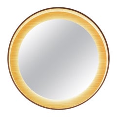 Halo Mirror 26 with LED Light, Black Oak, Switch Dim