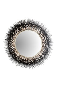Halo of Quills: African Porcupine Mirror, 48" DIA