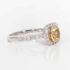 Halo Ring with Fancy Yellow Cushion Cut Diamond Center. D1.50ct.t.w.