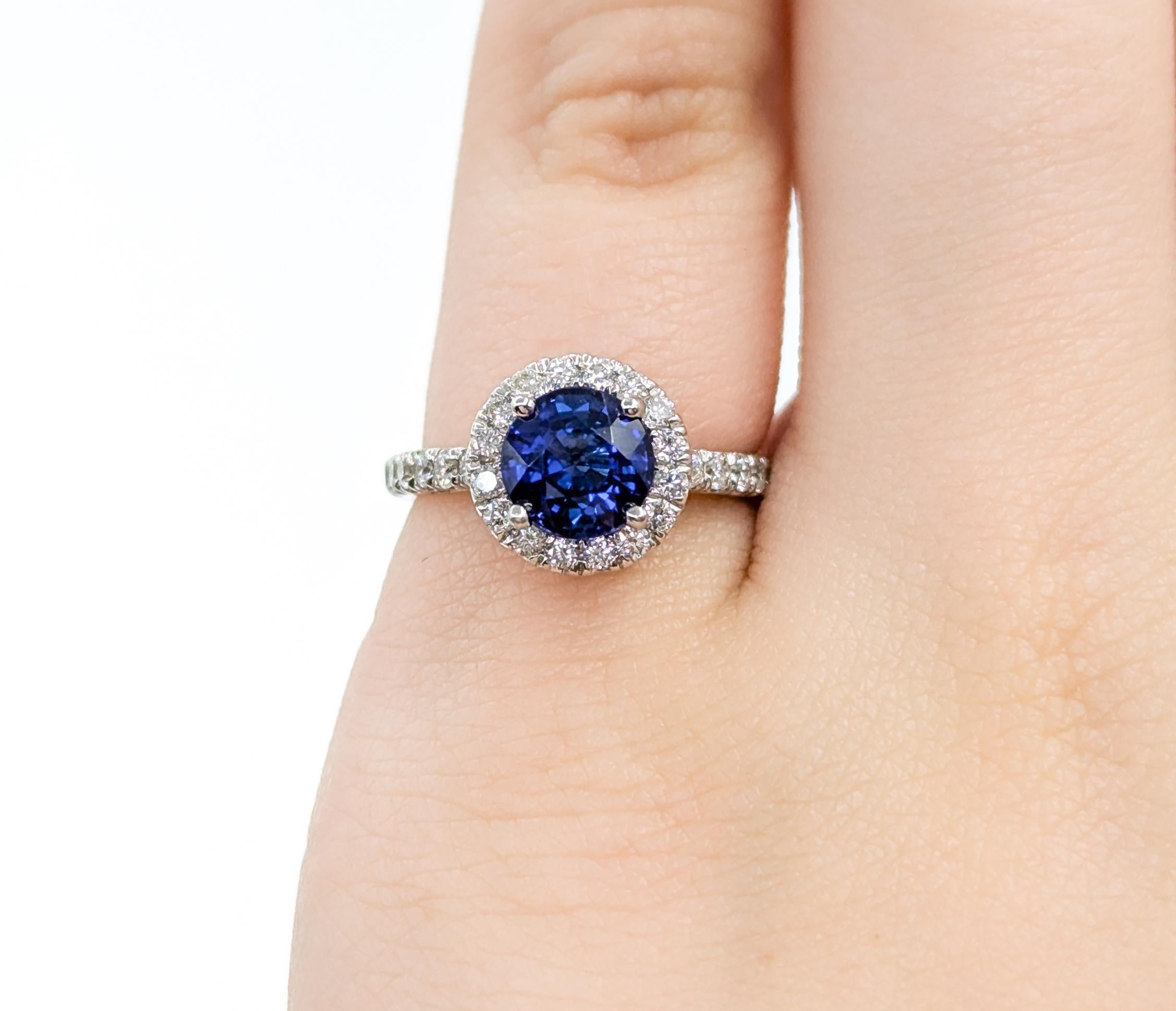 Round Cut Halo Sapphire and Diamond Ring by Gabriel & Co. in White Gold