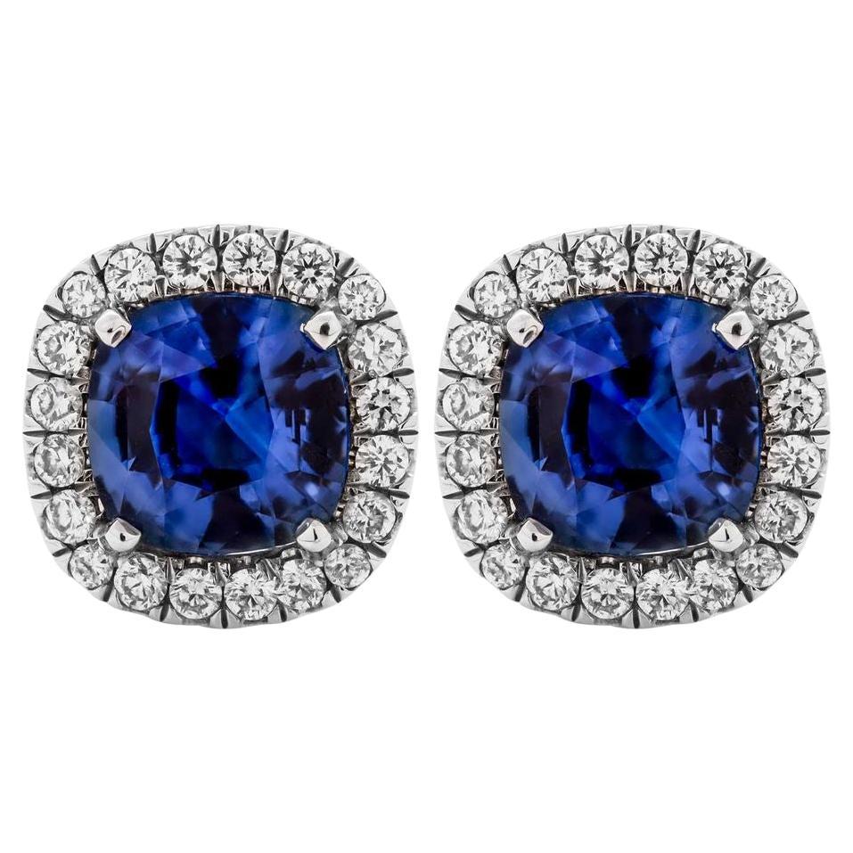 Halo Studs Earrings with Blue Cushion Sapphire in Platinum For Sale