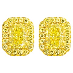 Halo studs with Fancy Intense Yellow Diamonds