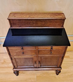 Hamilton MFG CO 1920 Walnut Physician Medical Cabinet