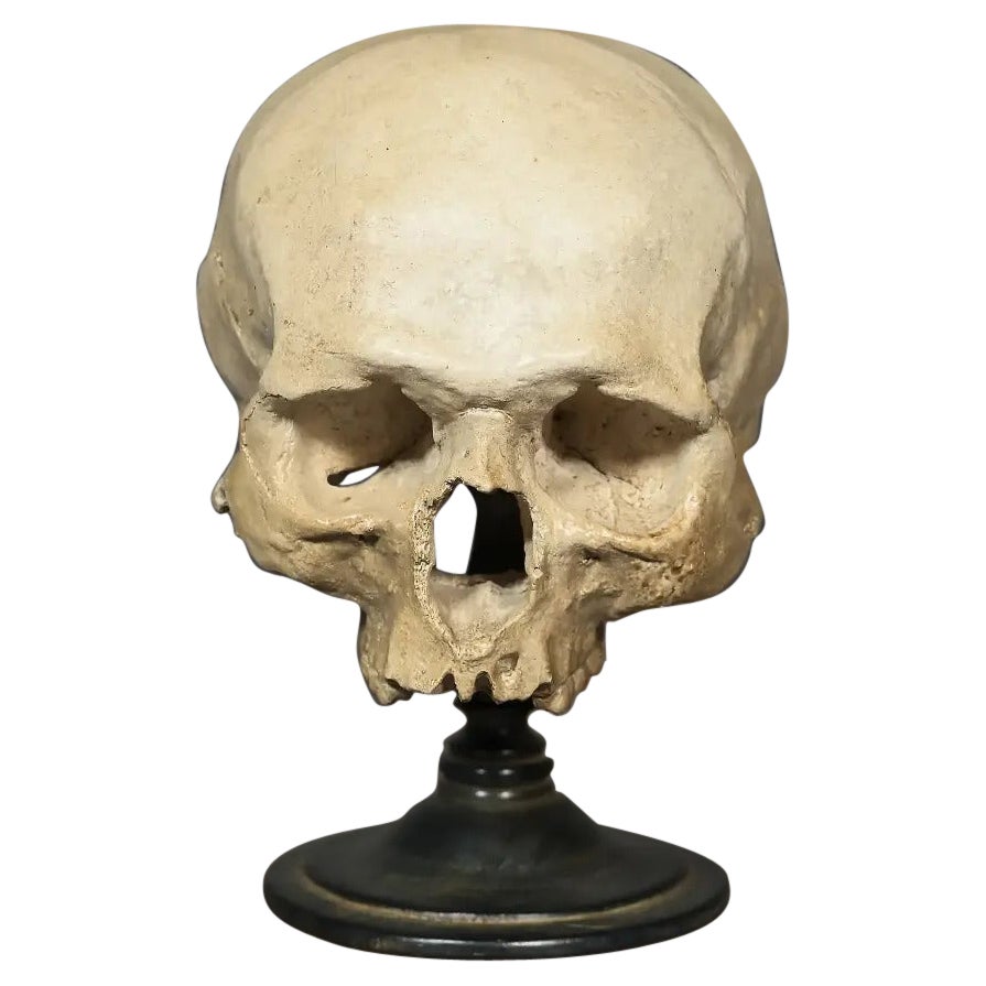 Hamlett Schädel auf Ständer - Memento Mori und Vanitas