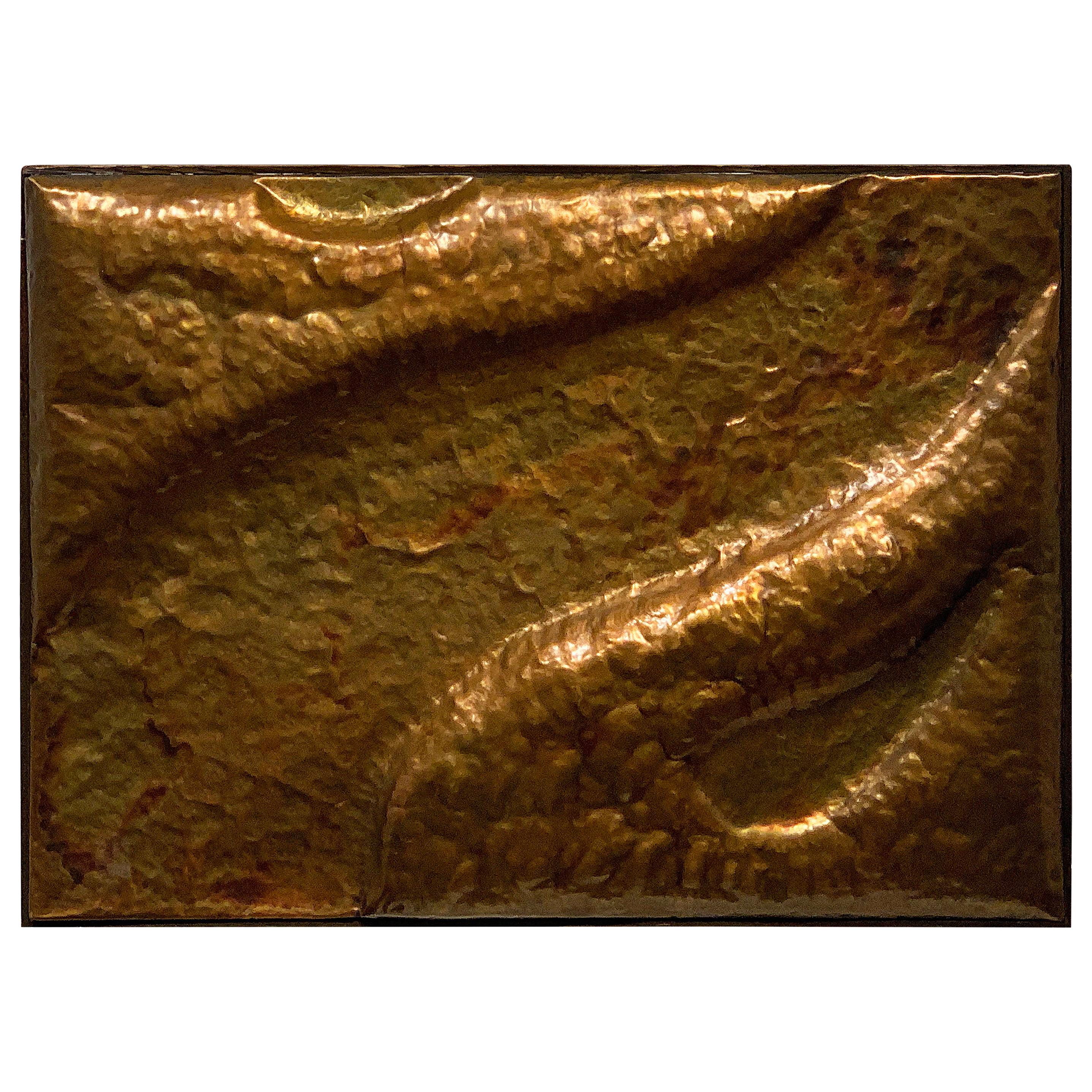 Hammered Copper Wall Relief by W.R.E. 1969