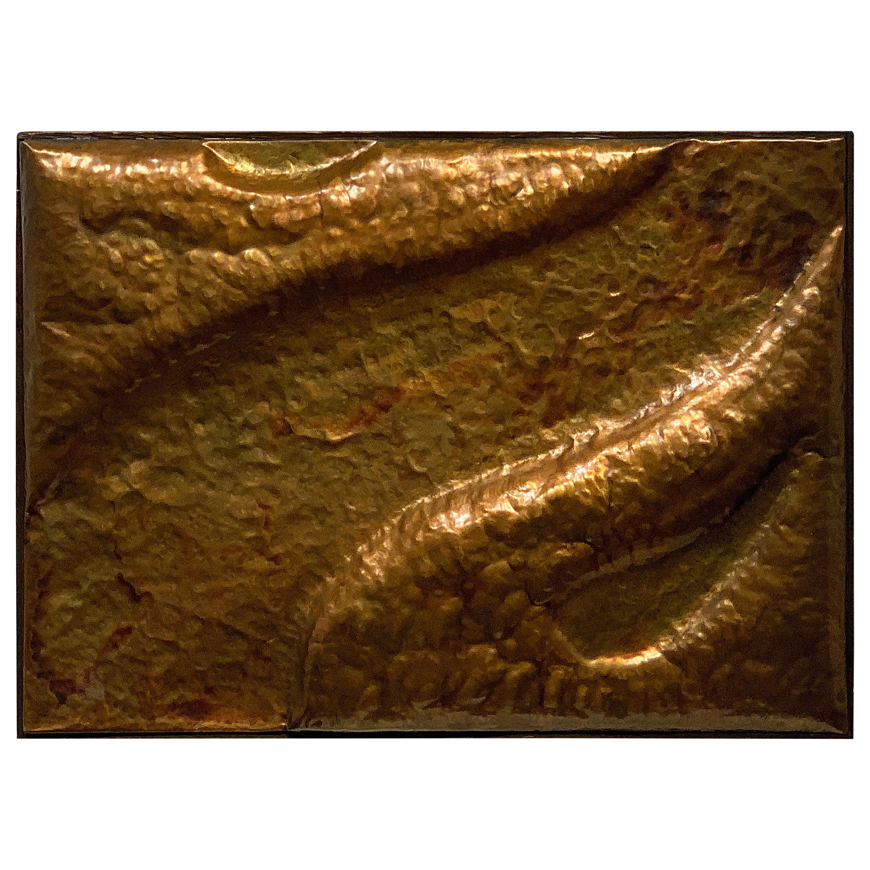 Relieve de pared de cobre martillado de W.R.E. 1969