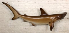Hammerhead Shark Mount