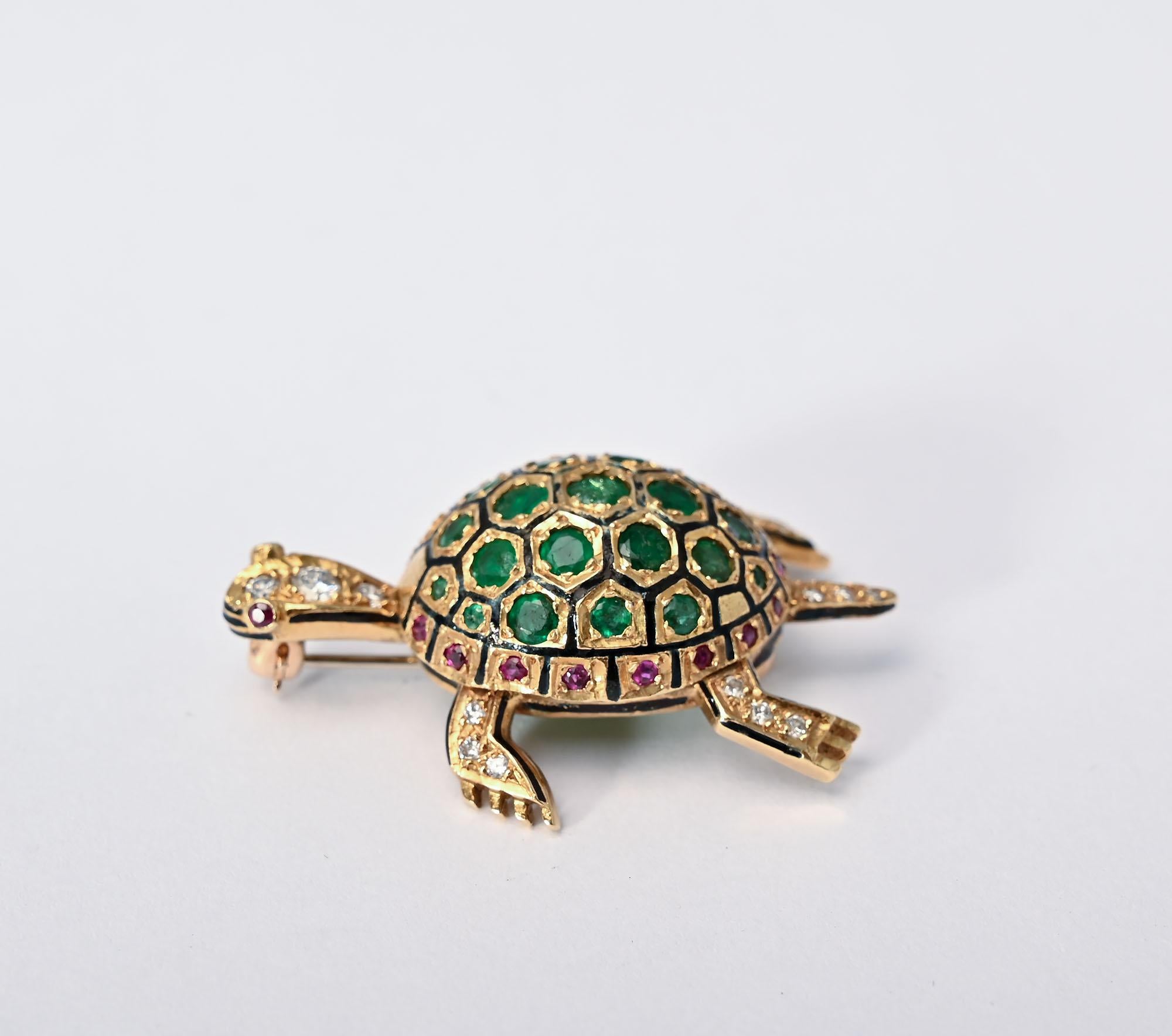 emerald tortoise