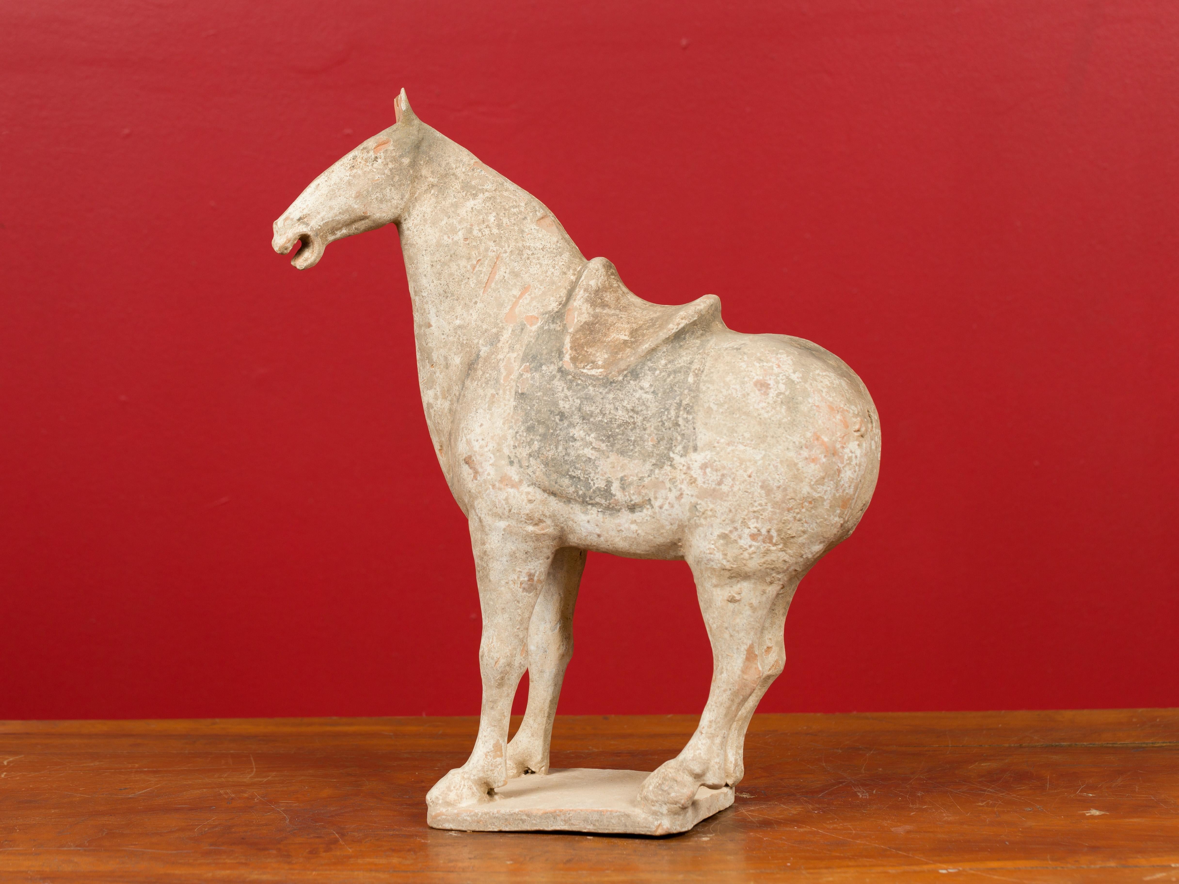 Han Dynasty 202 BC-200 AD Terracotta Mingqi Horse with Traces of Original Paint 4
