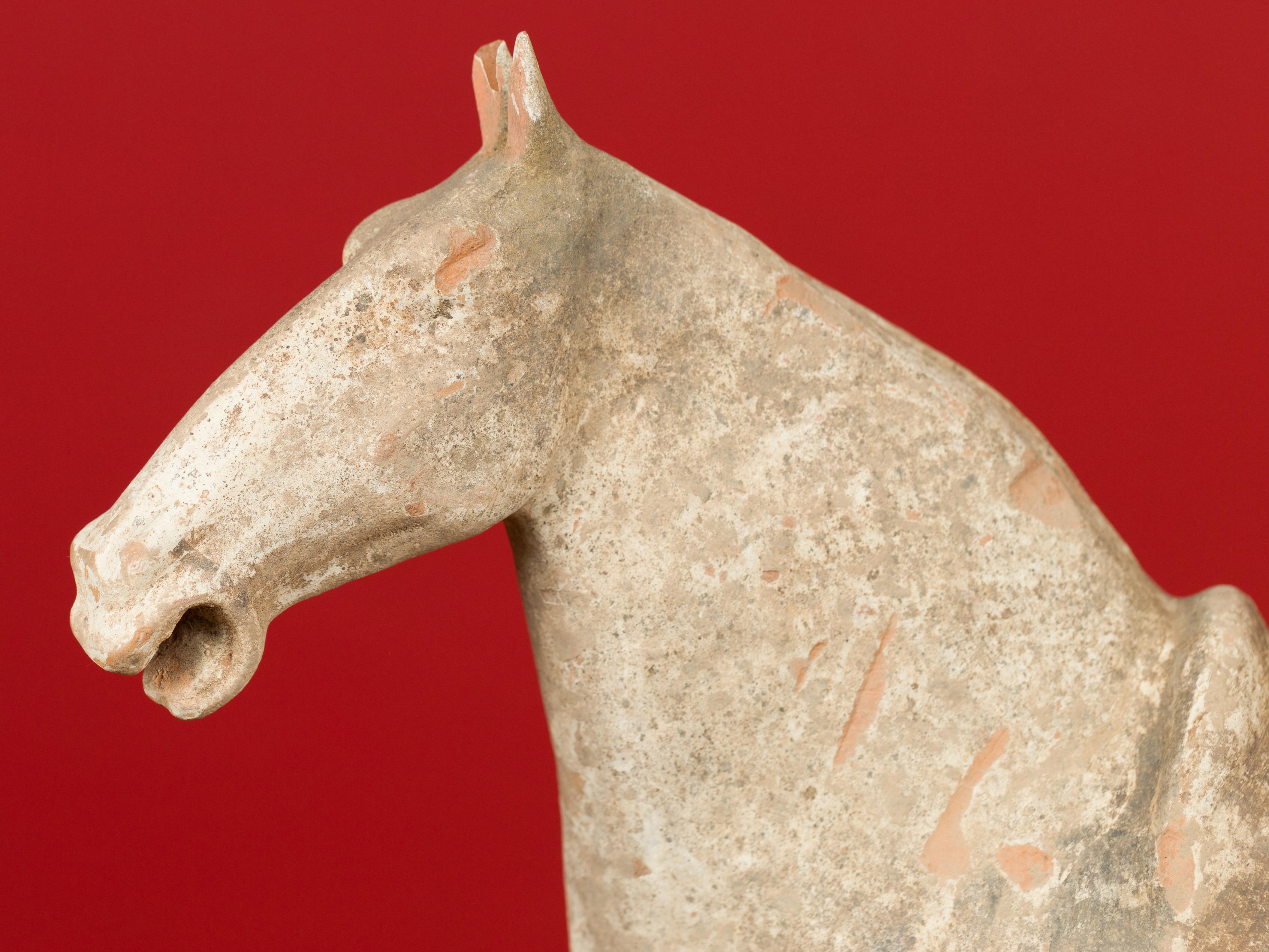 Han Dynasty 202 BC-200 AD Terracotta Mingqi Horse with Traces of Original Paint In Good Condition In Yonkers, NY