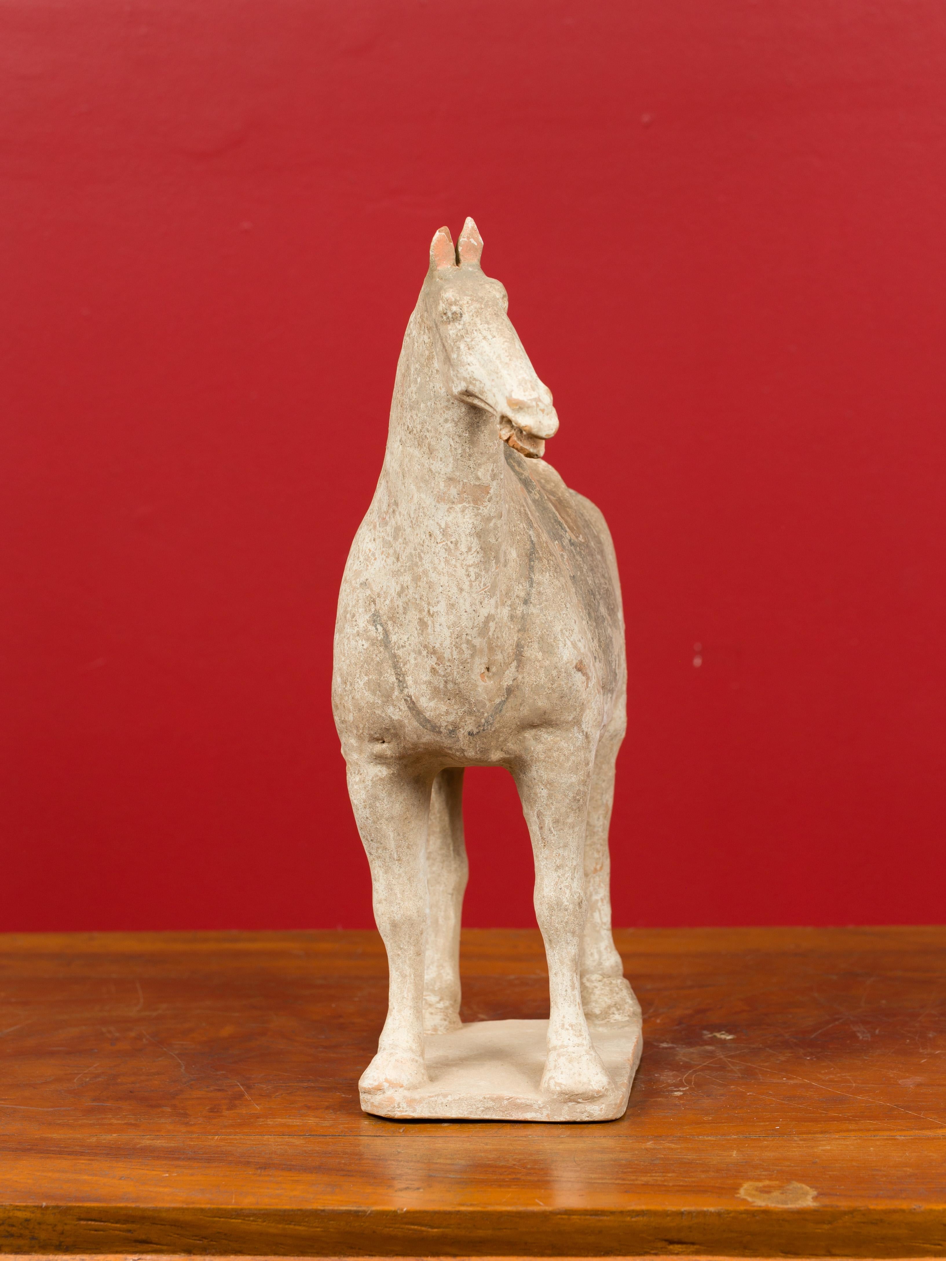 Han Dynasty 202 BC-200 AD Terracotta Mingqi Horse with Traces of Original Paint 1