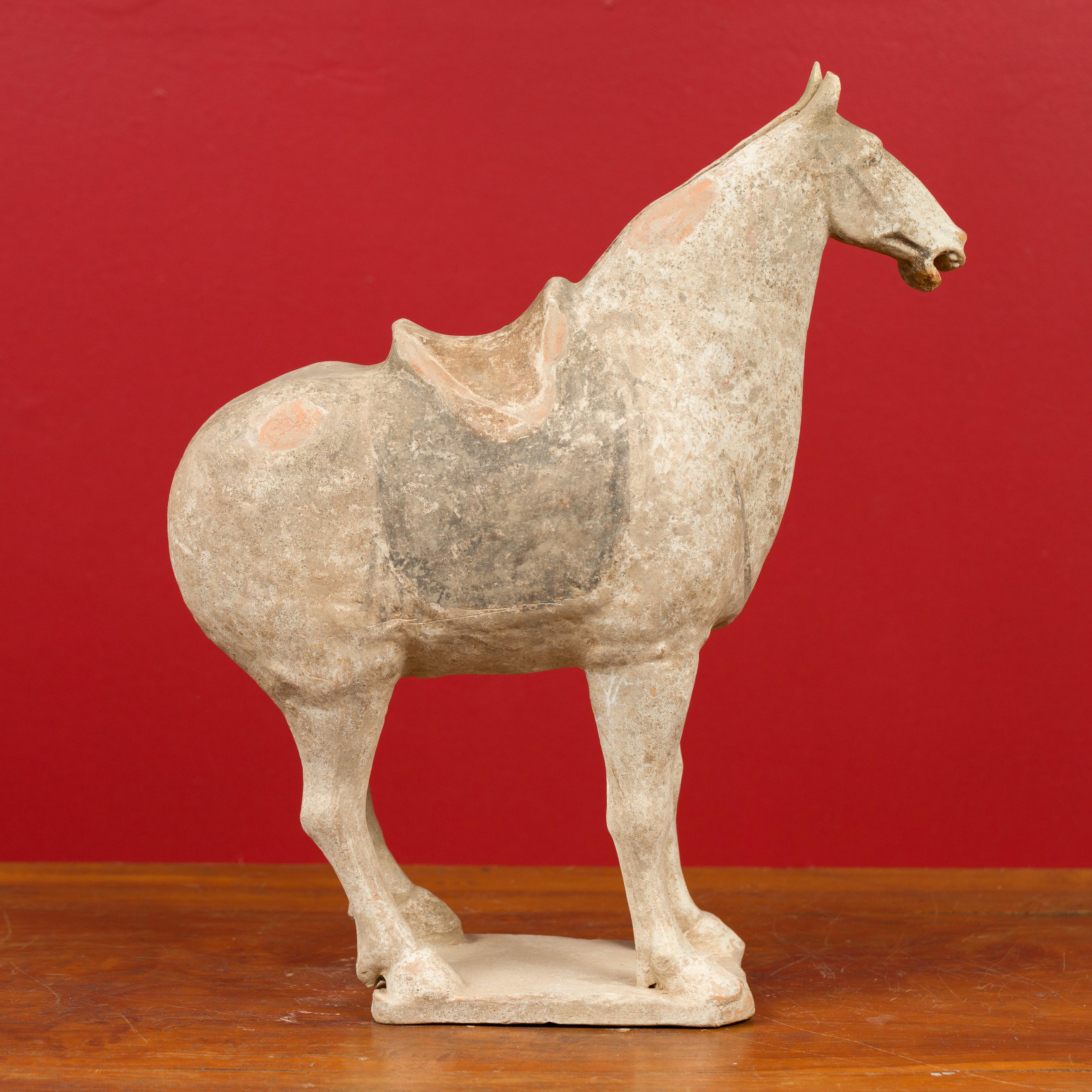 Han Dynasty 202 BC-200 AD Terracotta Mingqi Horse with Traces of Original Paint 2