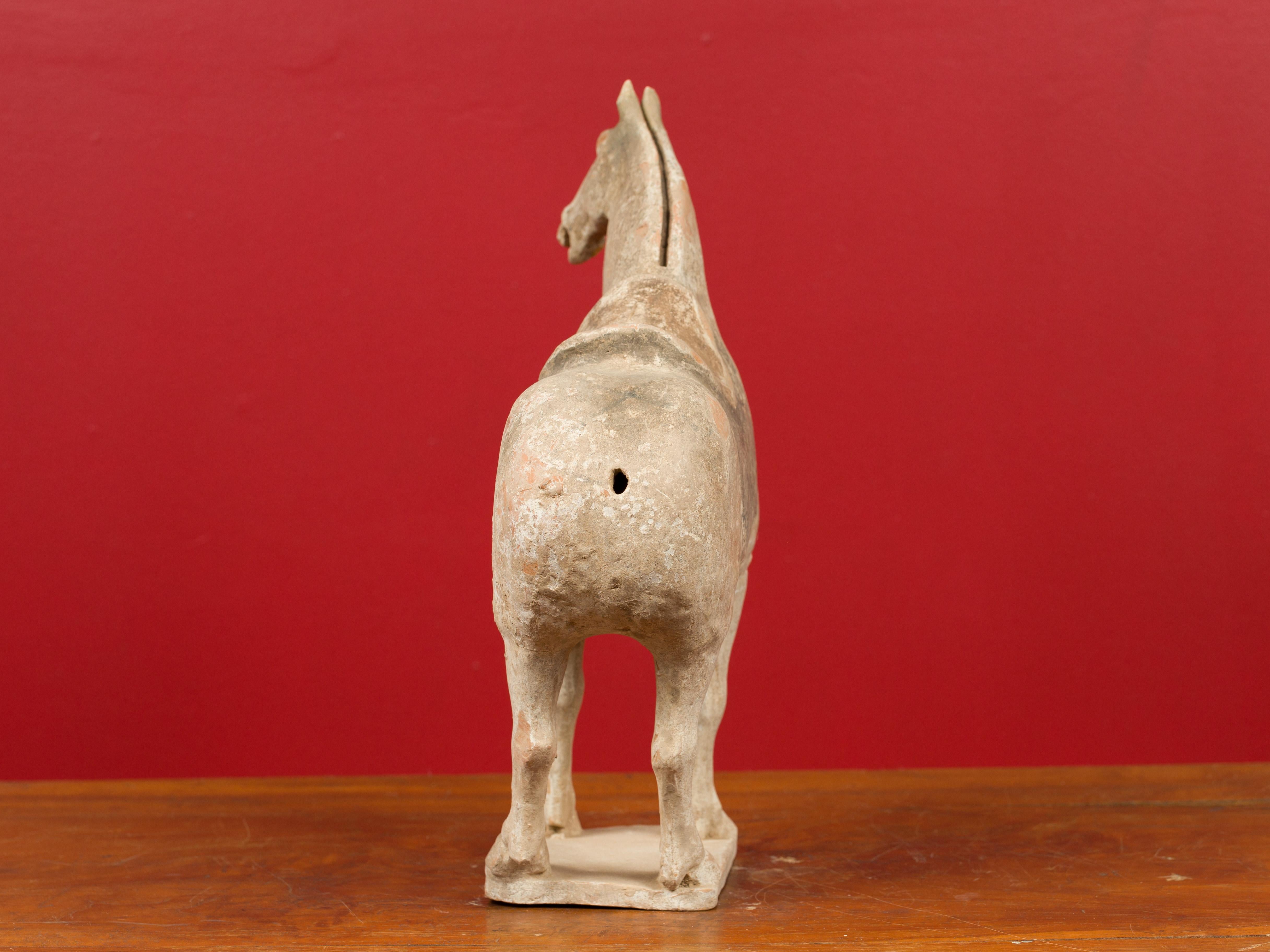 Han Dynasty 202 BC-200 AD Terracotta Mingqi Horse with Traces of Original Paint 3