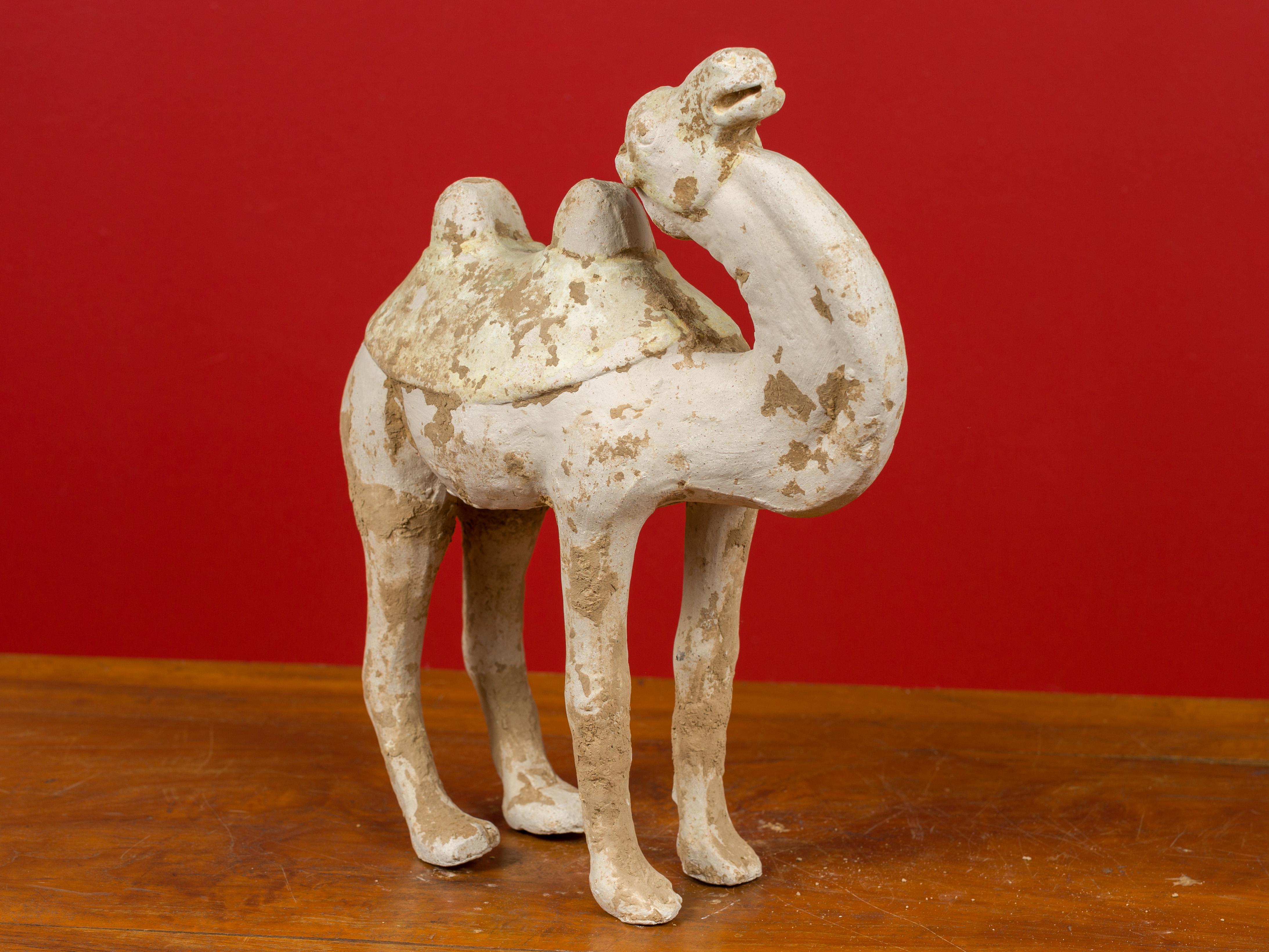 Han Dynasty Chinese Mingqi Terracotta Camel with Mineral Deposits 202 BC-200 AD  6