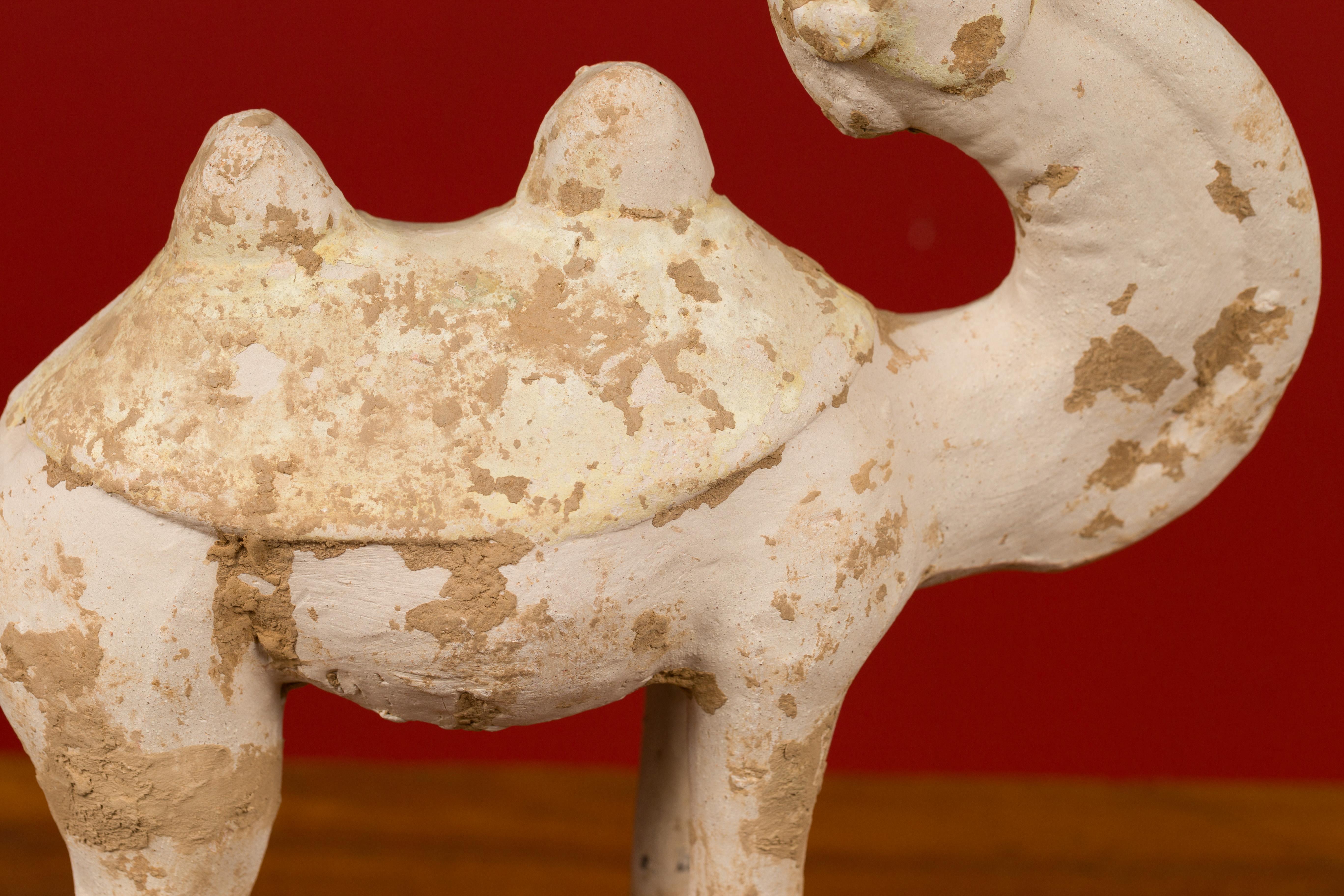 Han Dynasty Chinese Mingqi Terracotta Camel with Mineral Deposits 202 BC-200 AD  10