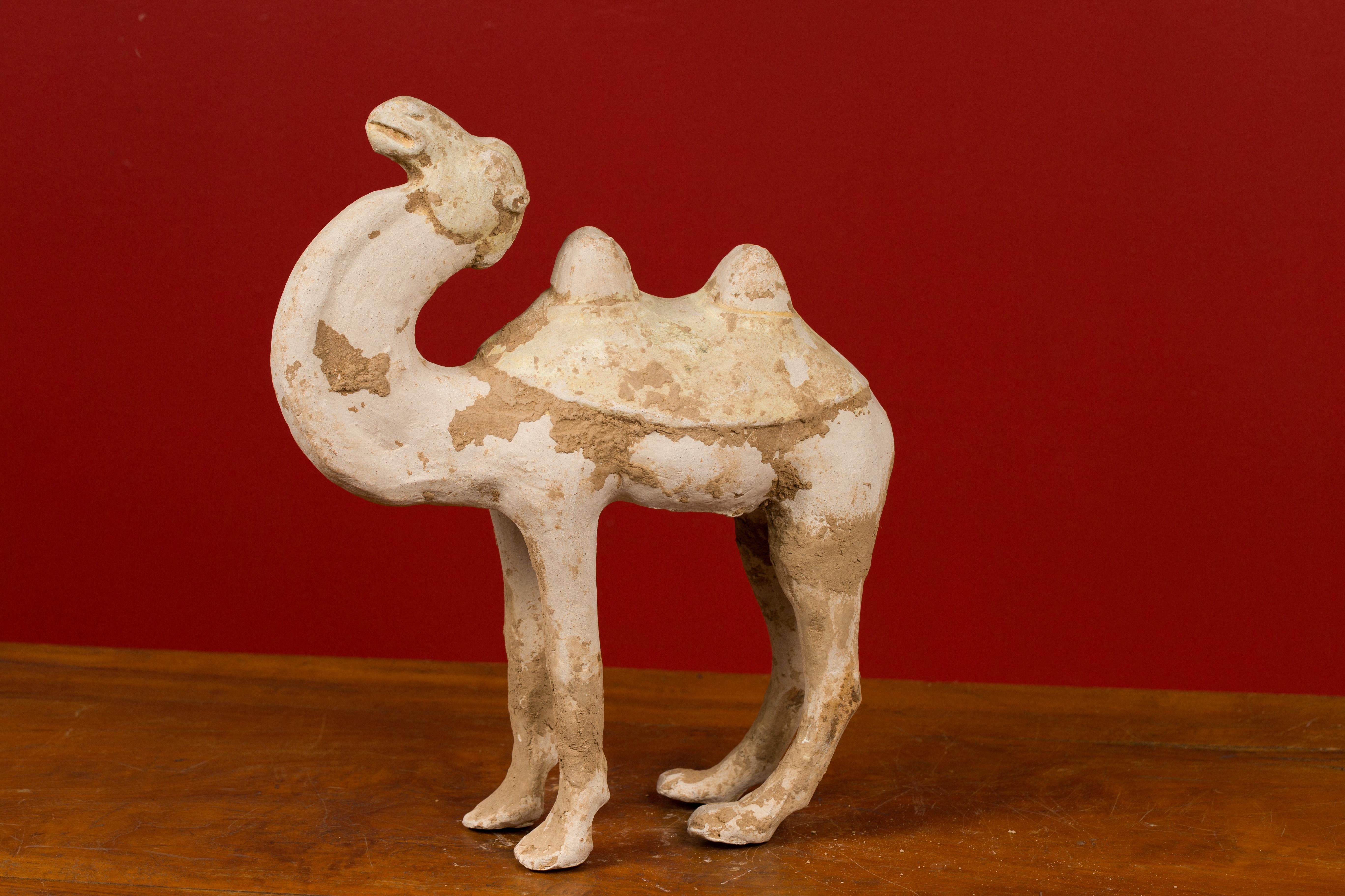 Han Dynasty Chinese Mingqi Terracotta Camel with Mineral Deposits 202 BC-200 AD  11