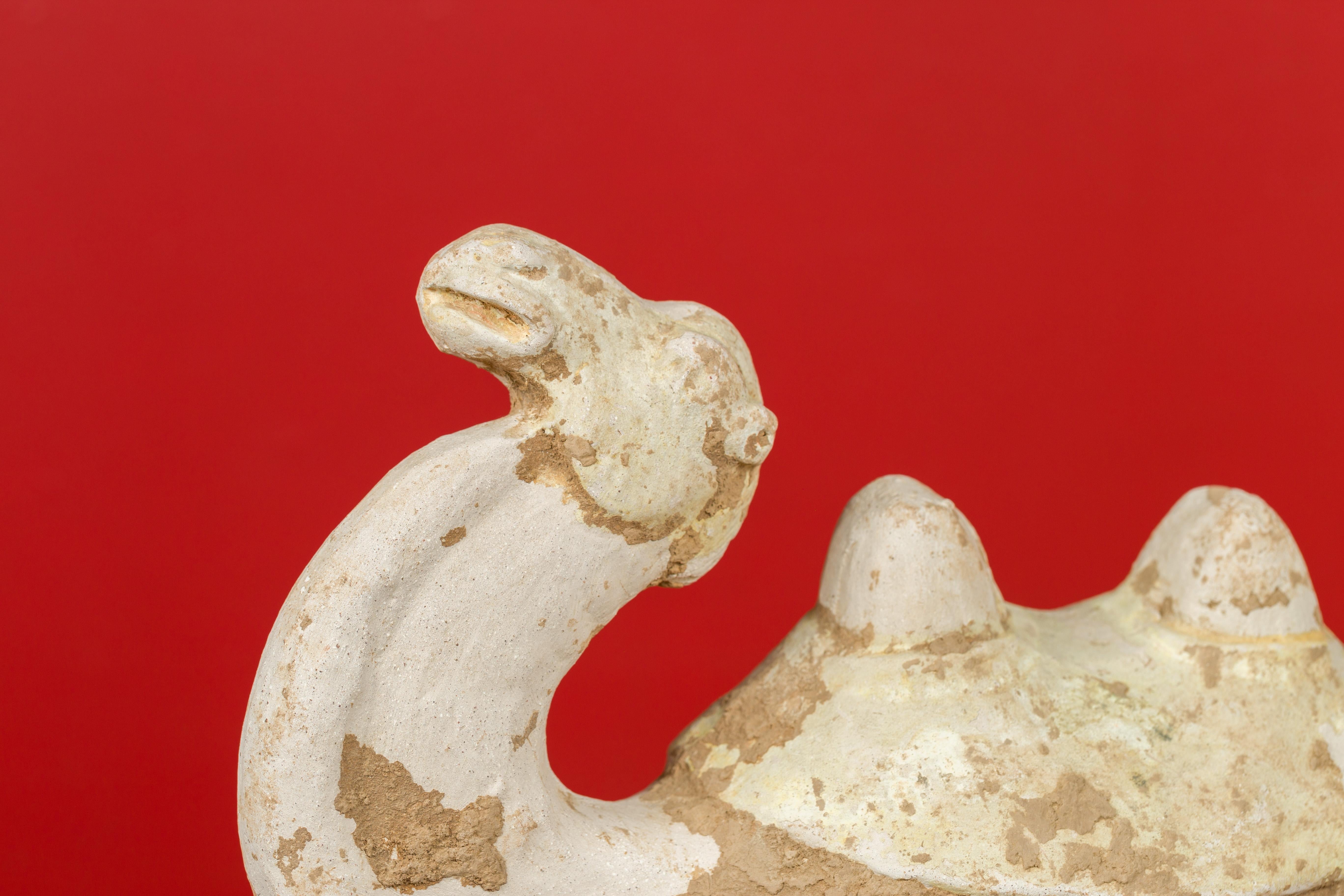 18th Century and Earlier Han Dynasty Chinese Mingqi Terracotta Camel with Mineral Deposits 202 BC-200 AD 