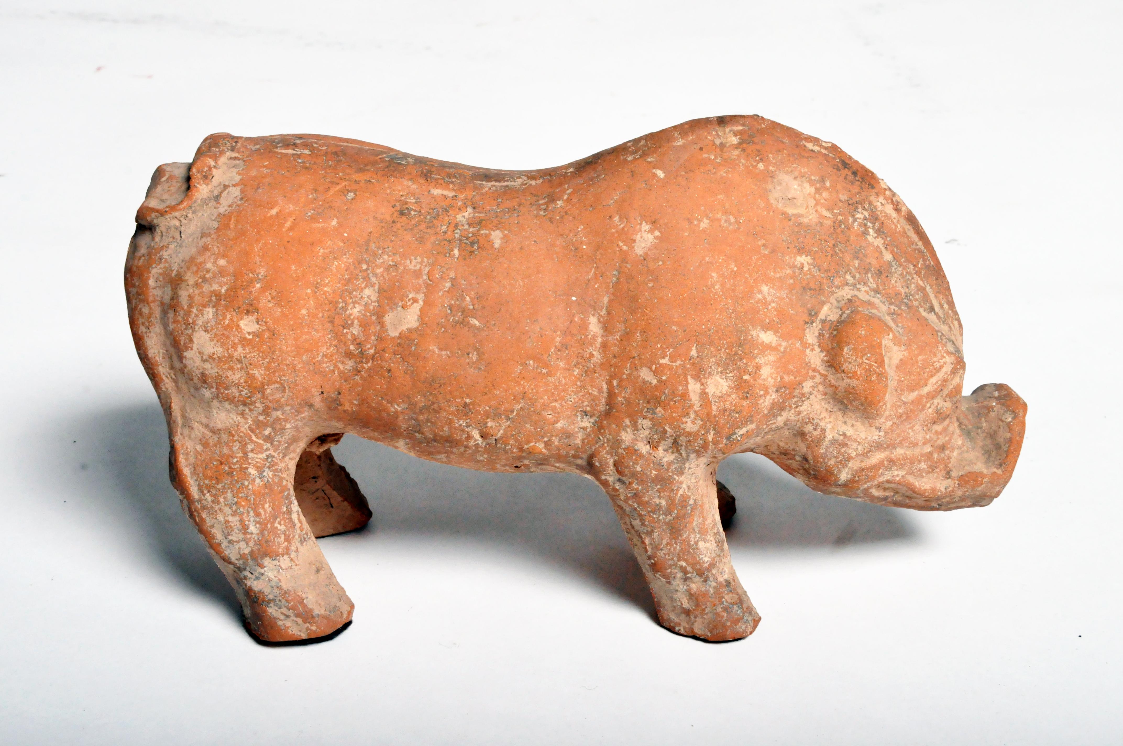 Han Dynasty Figure of a Pig 2