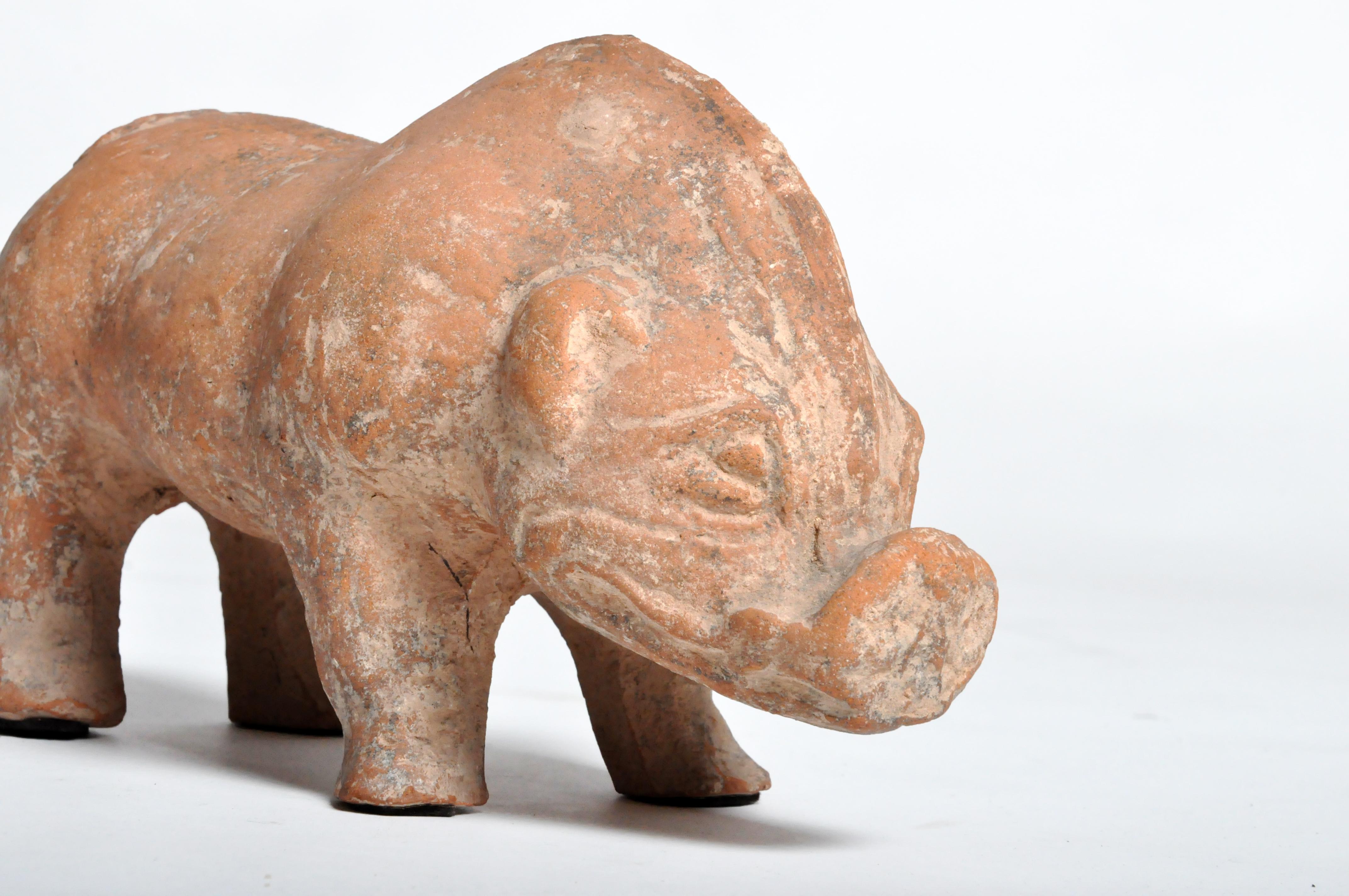 Han Dynasty Figure of a Pig 6
