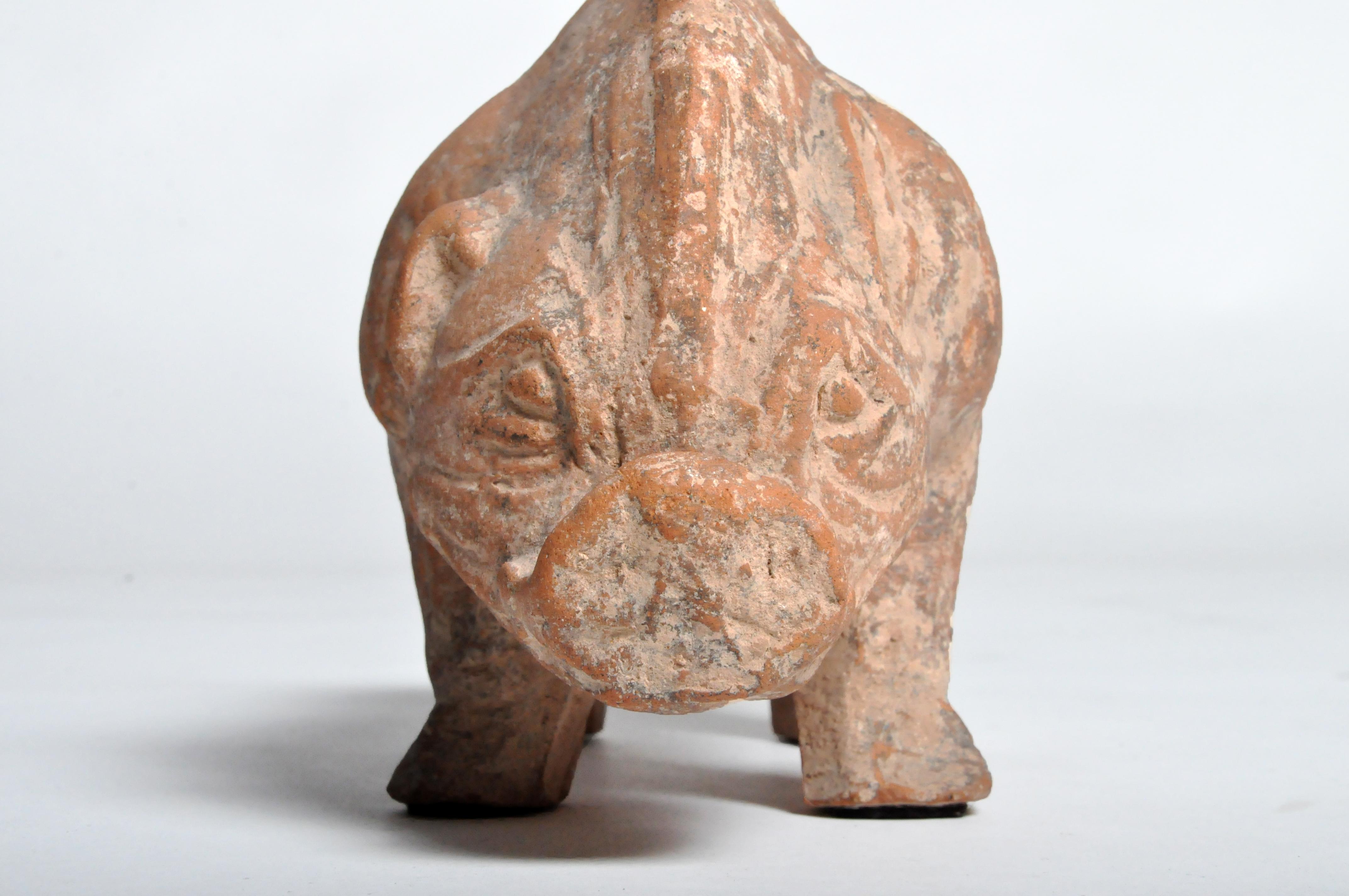 Han Dynasty Figure of a Pig 8