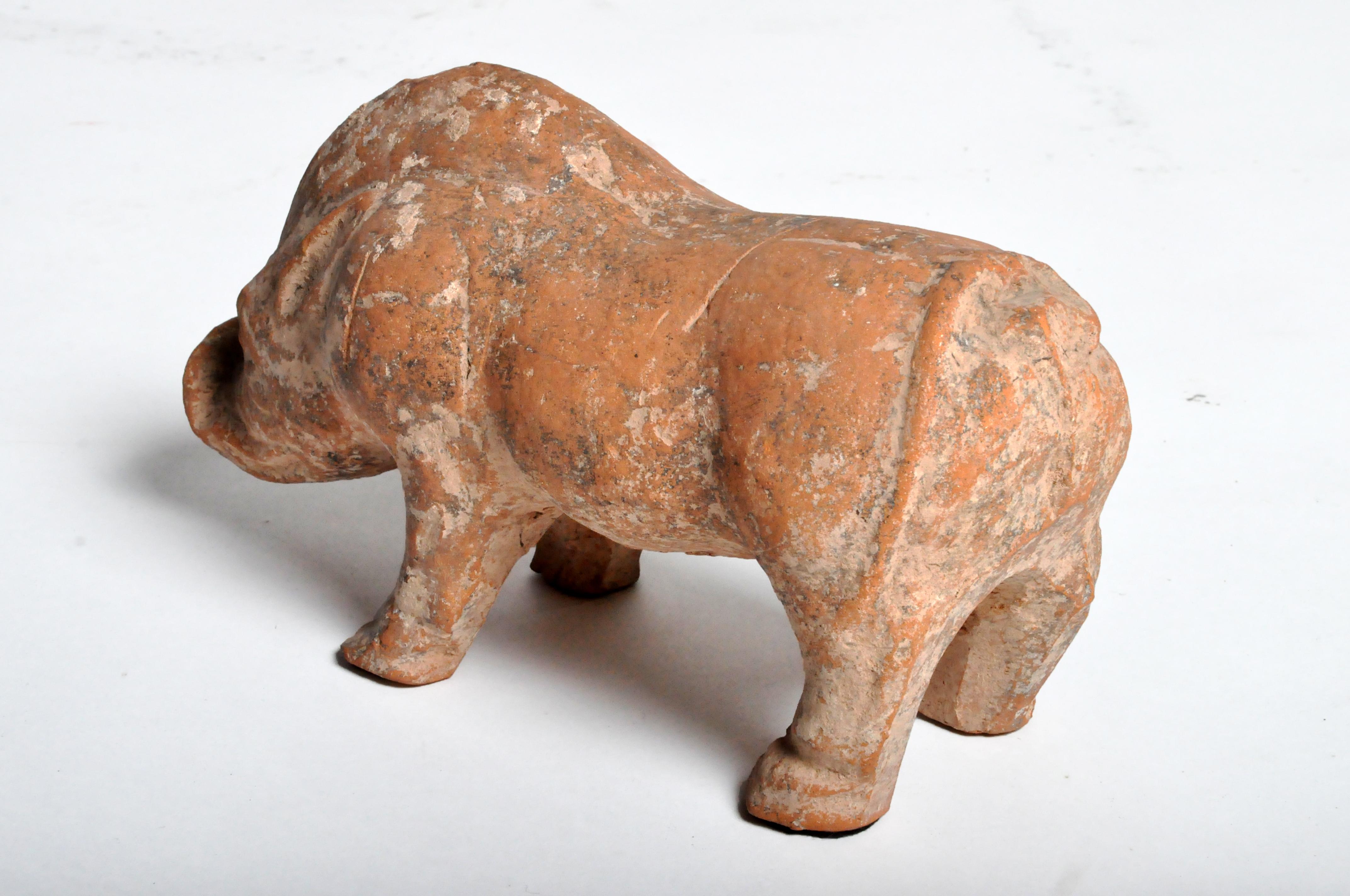 Han Dynasty Figure of a Pig 10