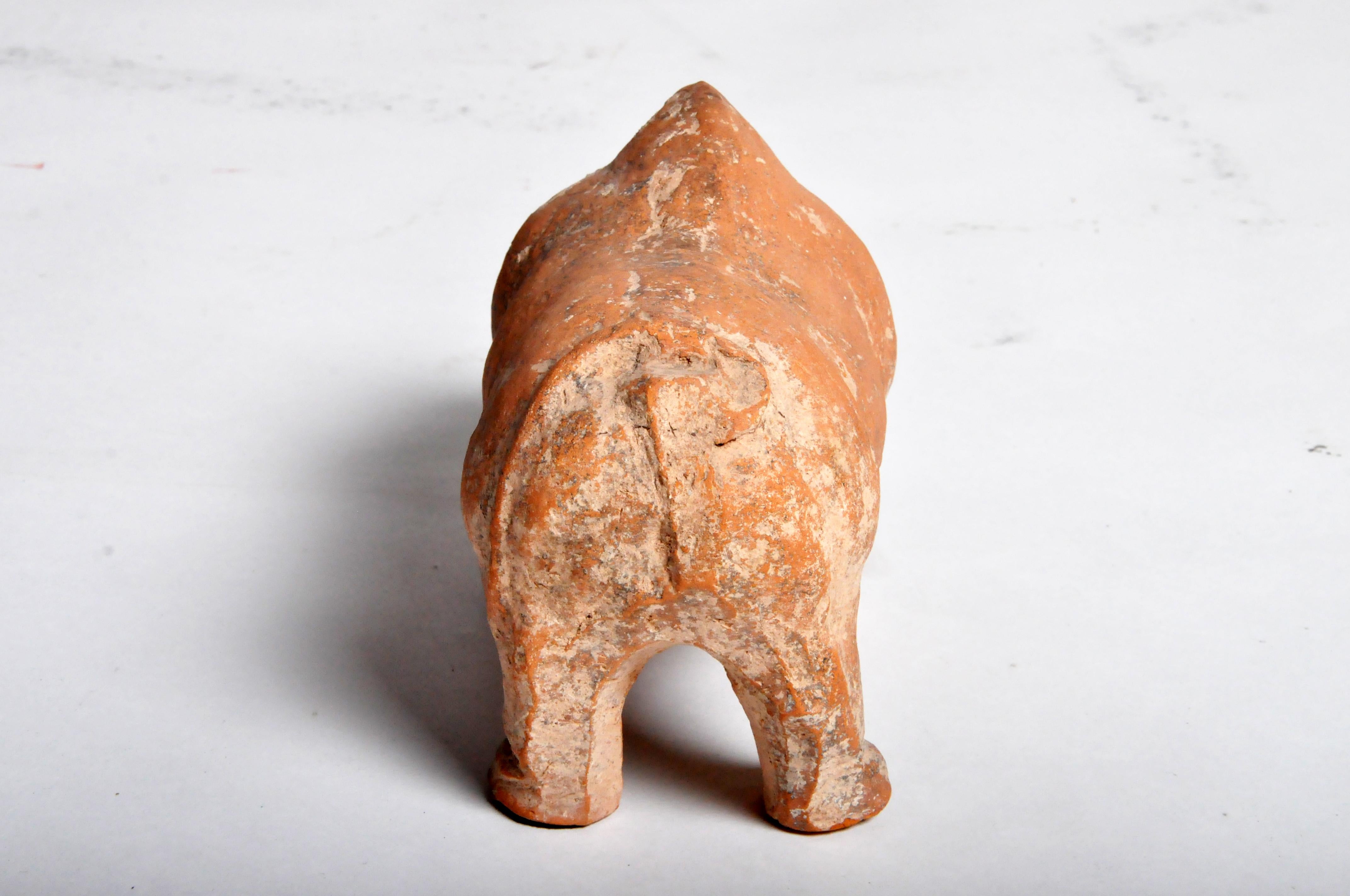 Han Dynasty Figure of a Pig 11