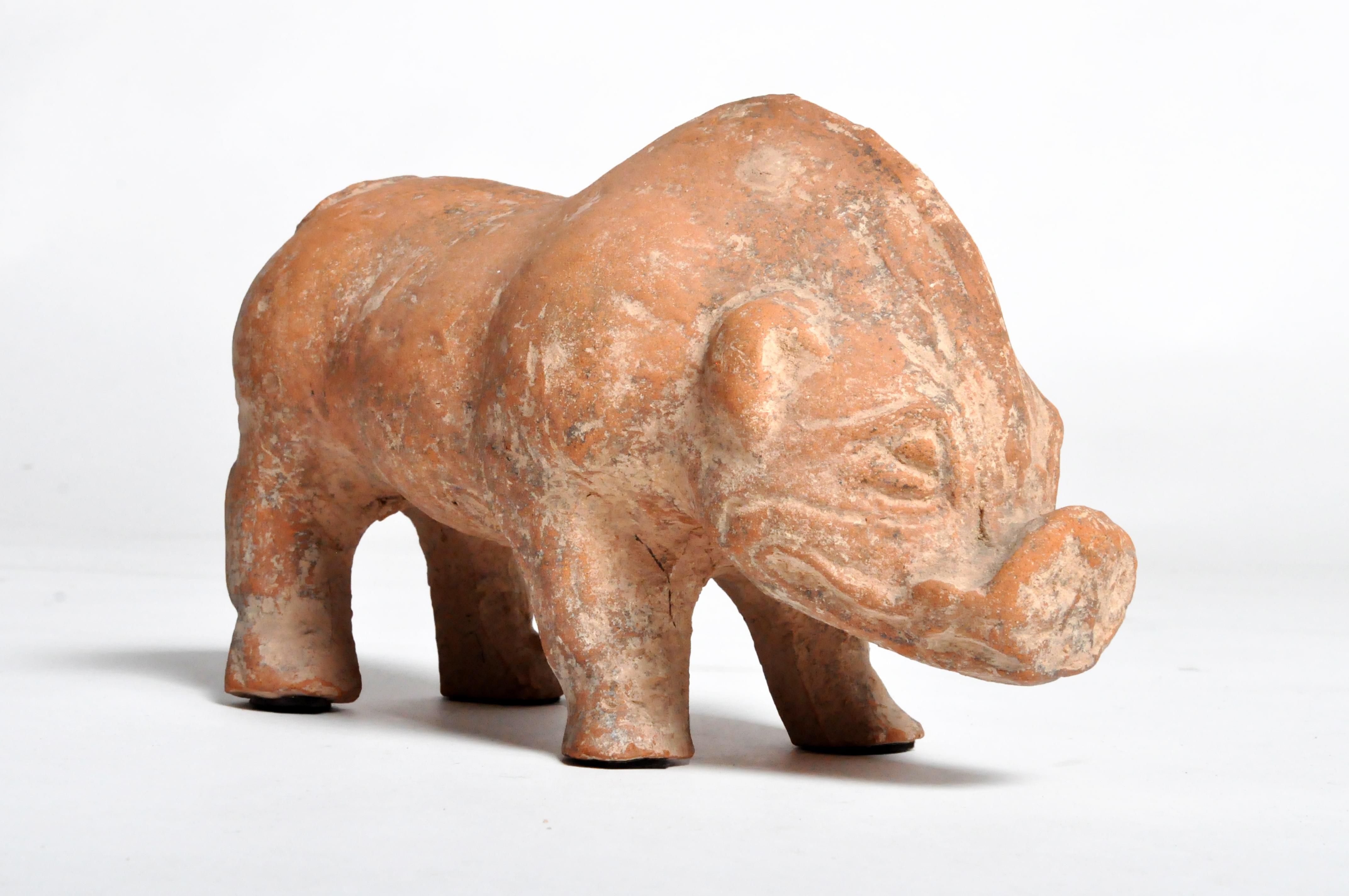 Han Dynasty Figure of a Pig 12