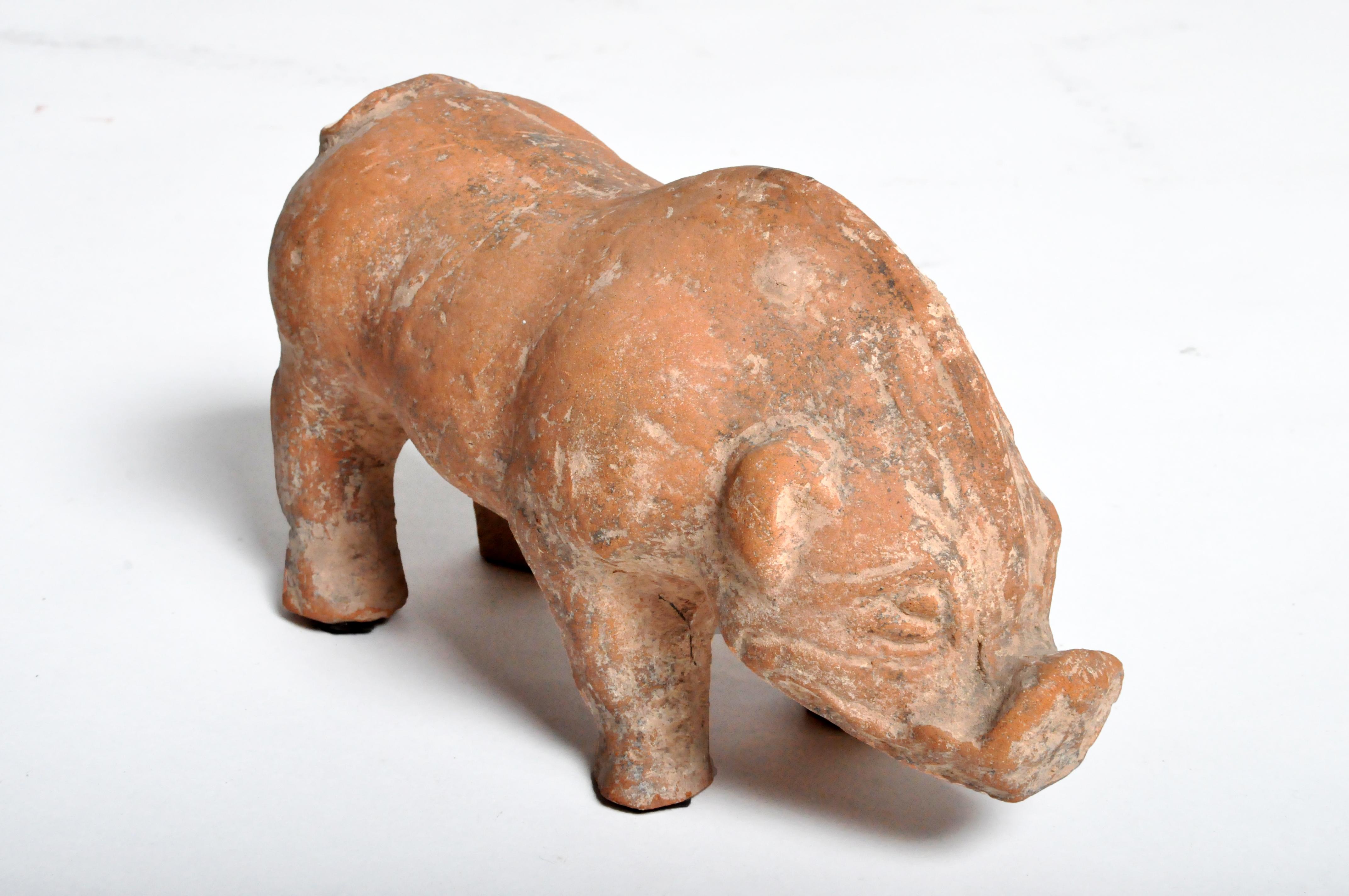 Terracotta Han Dynasty Figure of a Pig