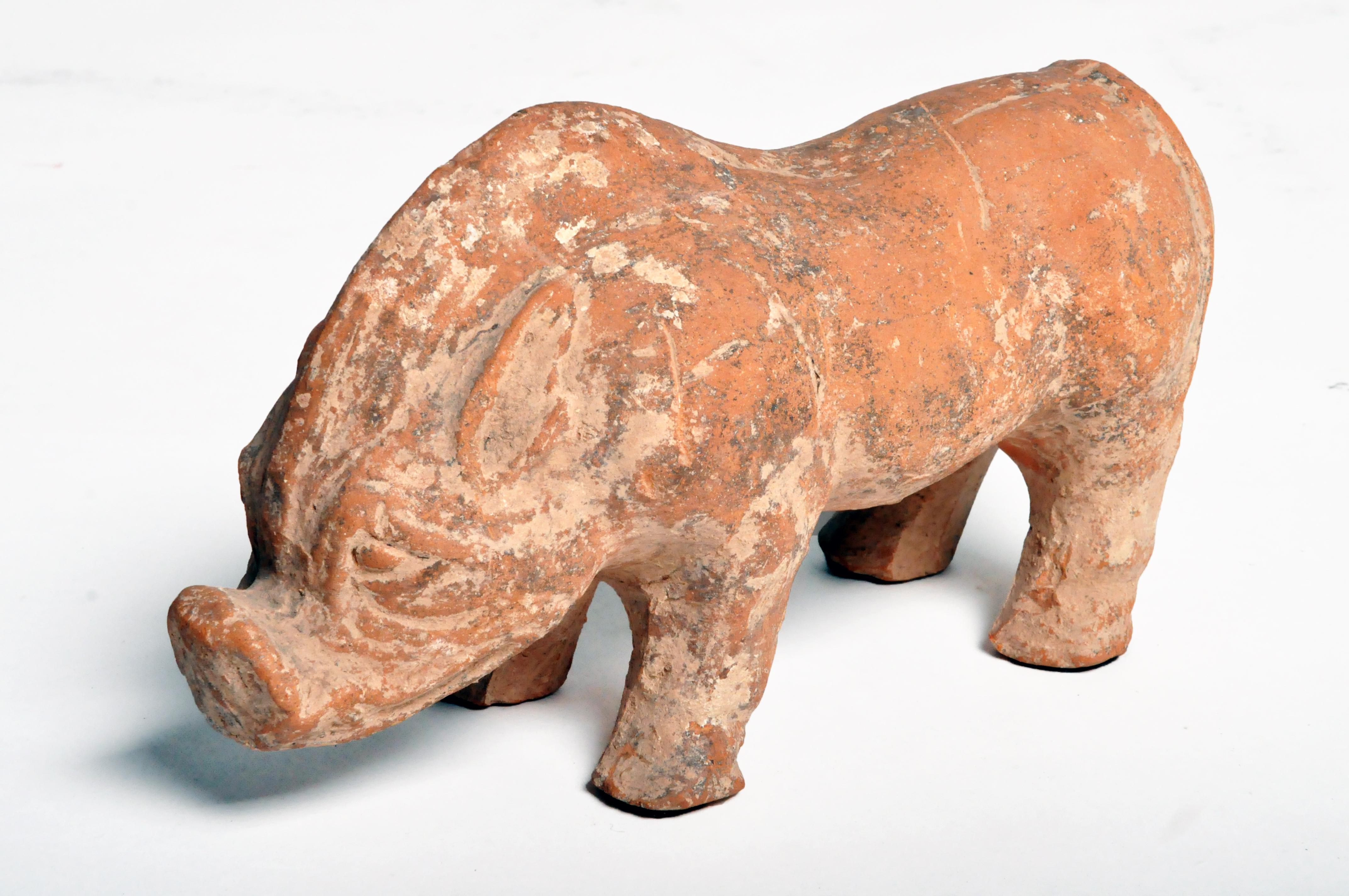 Han Dynasty Figure of a Pig 1
