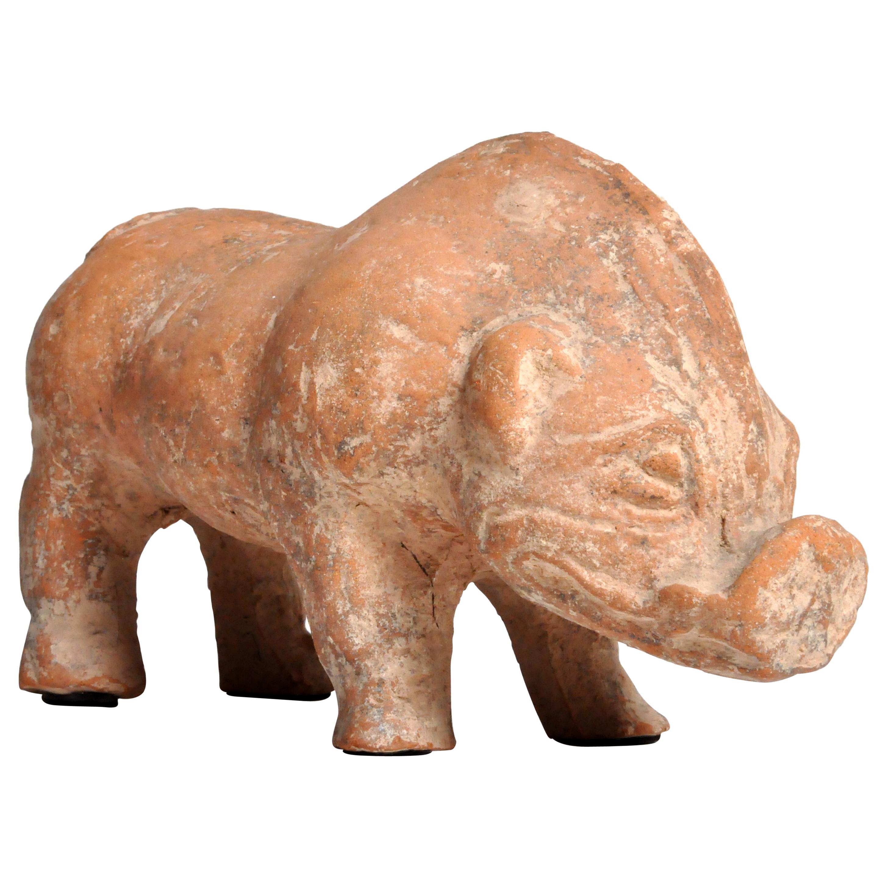 Han Dynasty Figure of a Pig