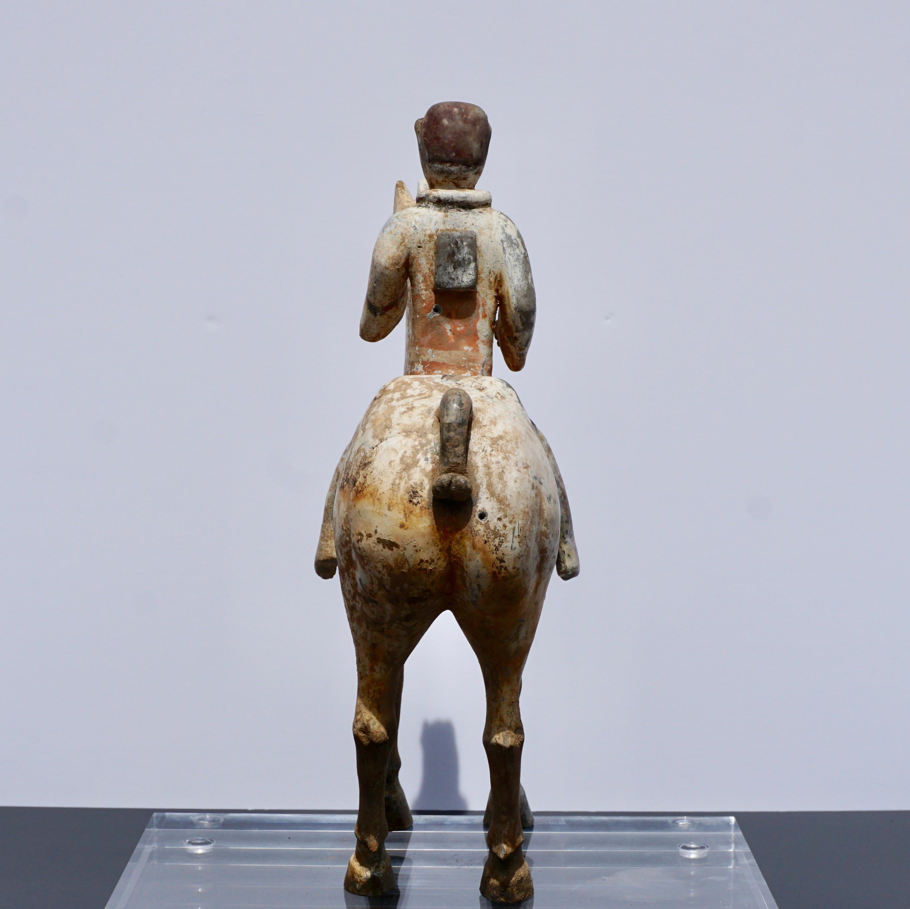 Han Dynasty Horse and Rider Terracotta, 206 BC-220 AD 2