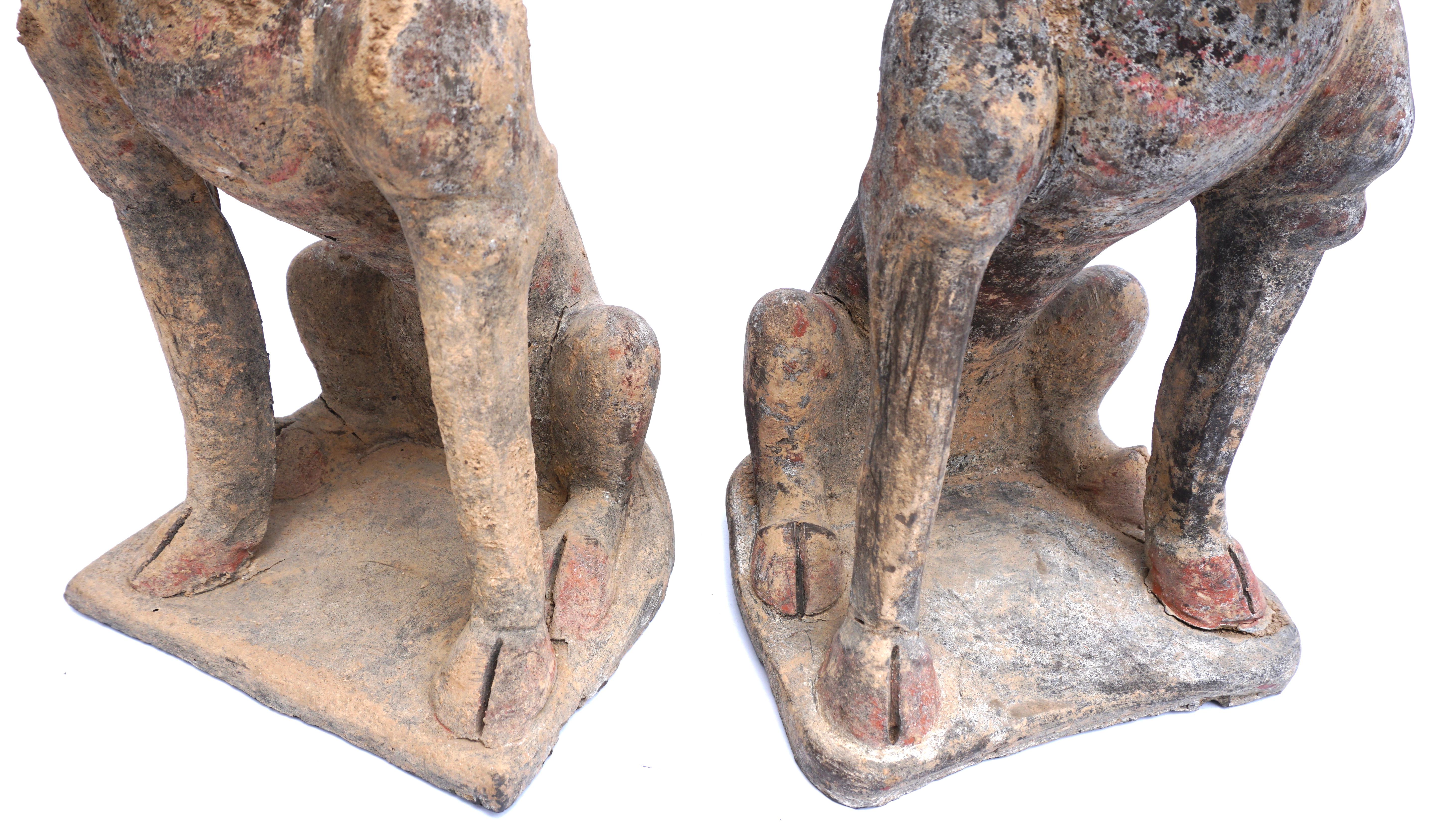 Fino al XVIII secolo Tang Dynasty Mingqi Guardiani della Tomba dello Spirito della Terra TL Testato in vendita