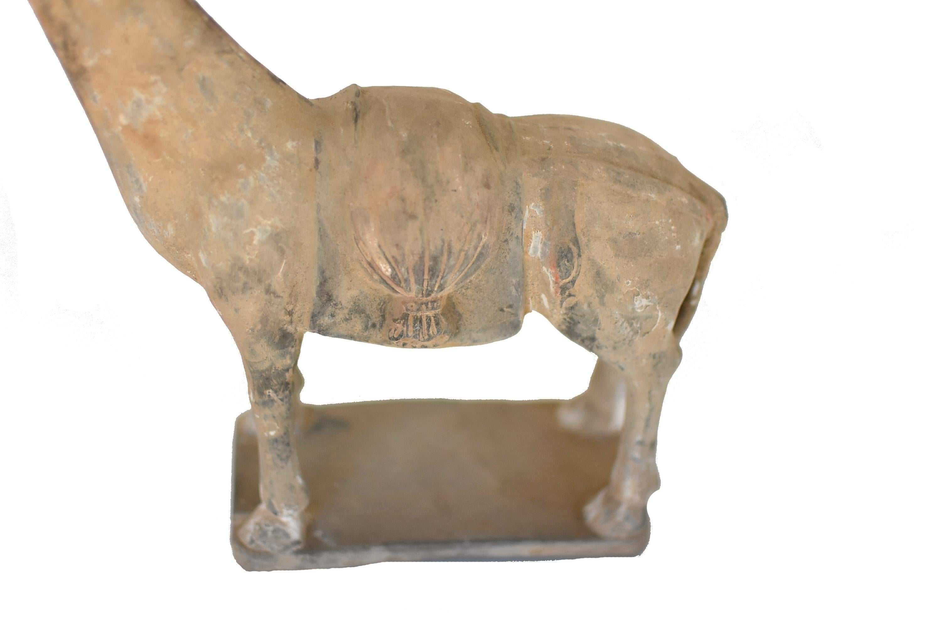 Han Style Terracotta Horse 4