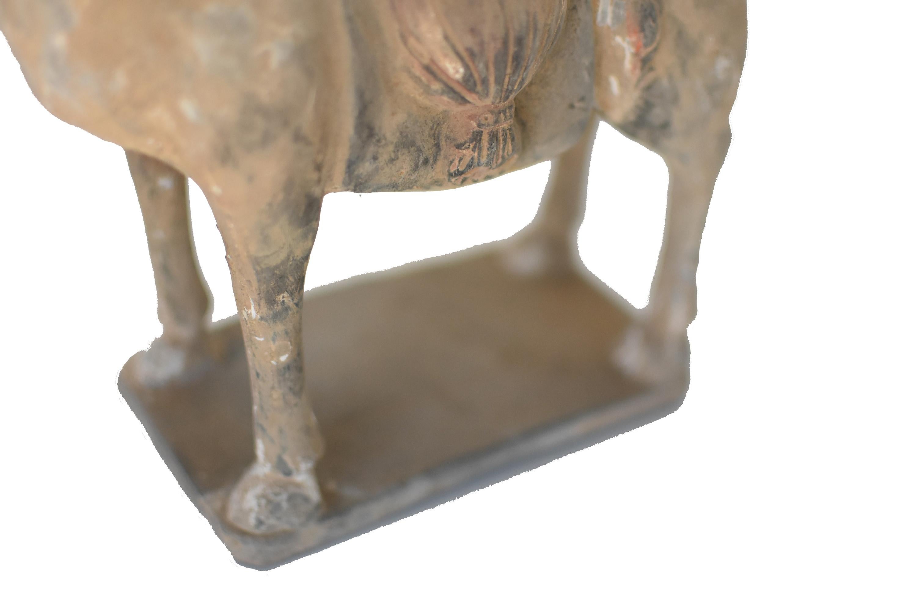 Han Style Terracotta Horse 9