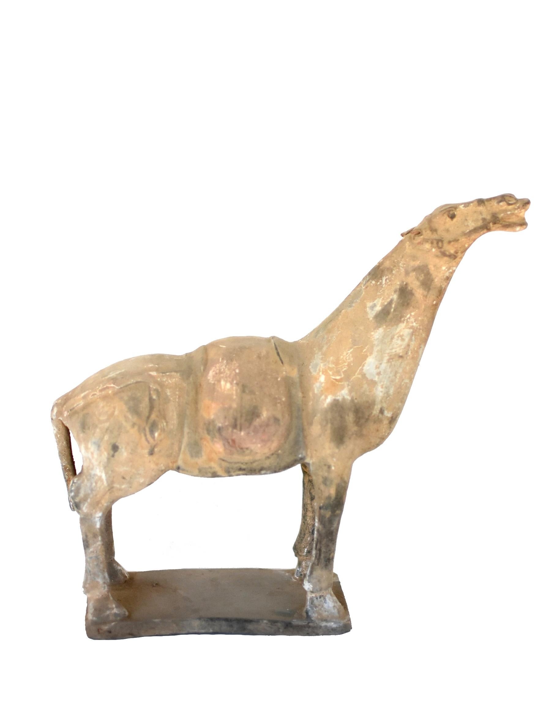 A beautiful Han Dynasty style terracotta horse. The unusual and highly artistic model makes the piece design relevant to this day. Exquisite depiction of the facial and body features. Expressive eyes. Simple elegant lines. Muted colors. A truly