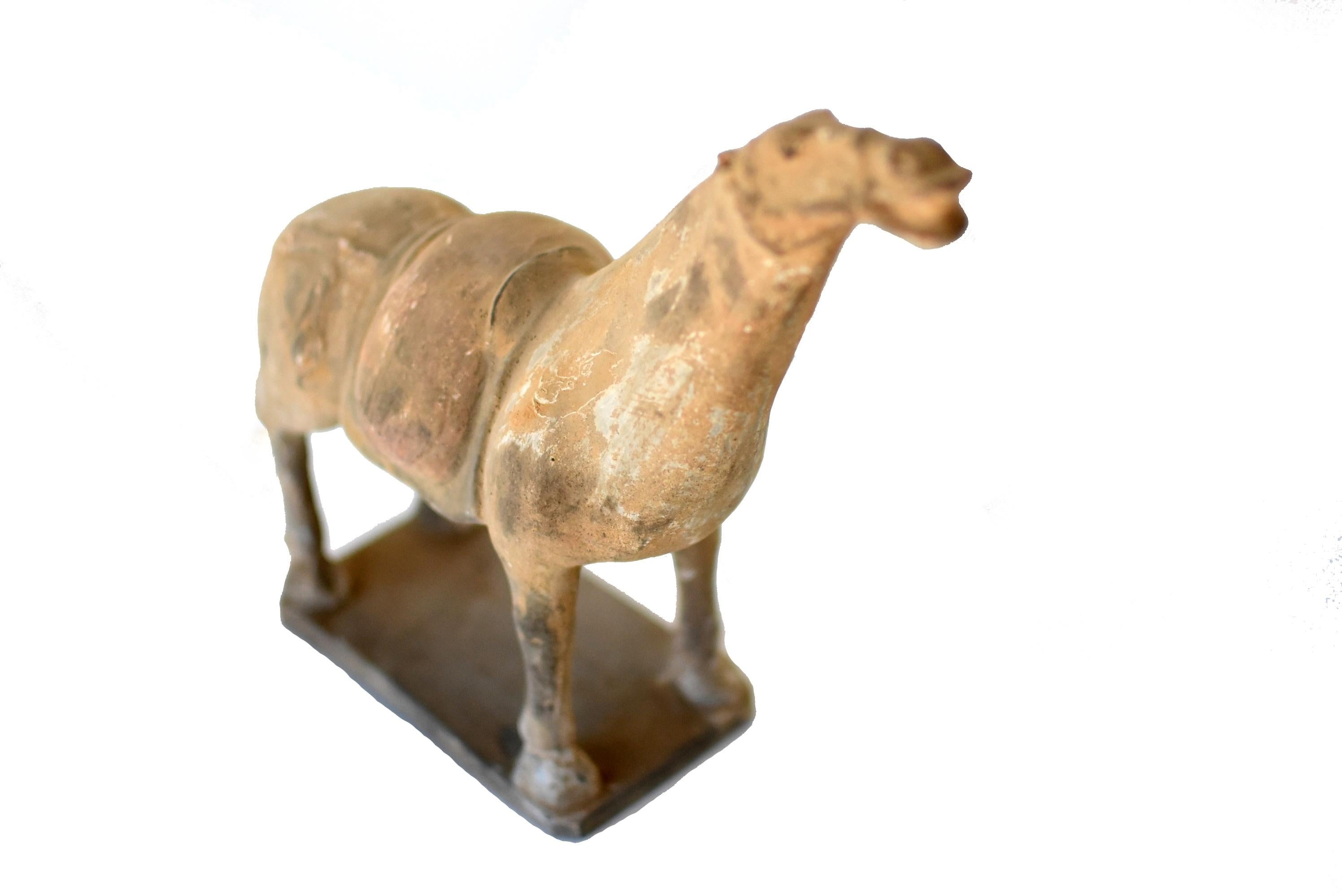 Han Style Terracotta Horse 1