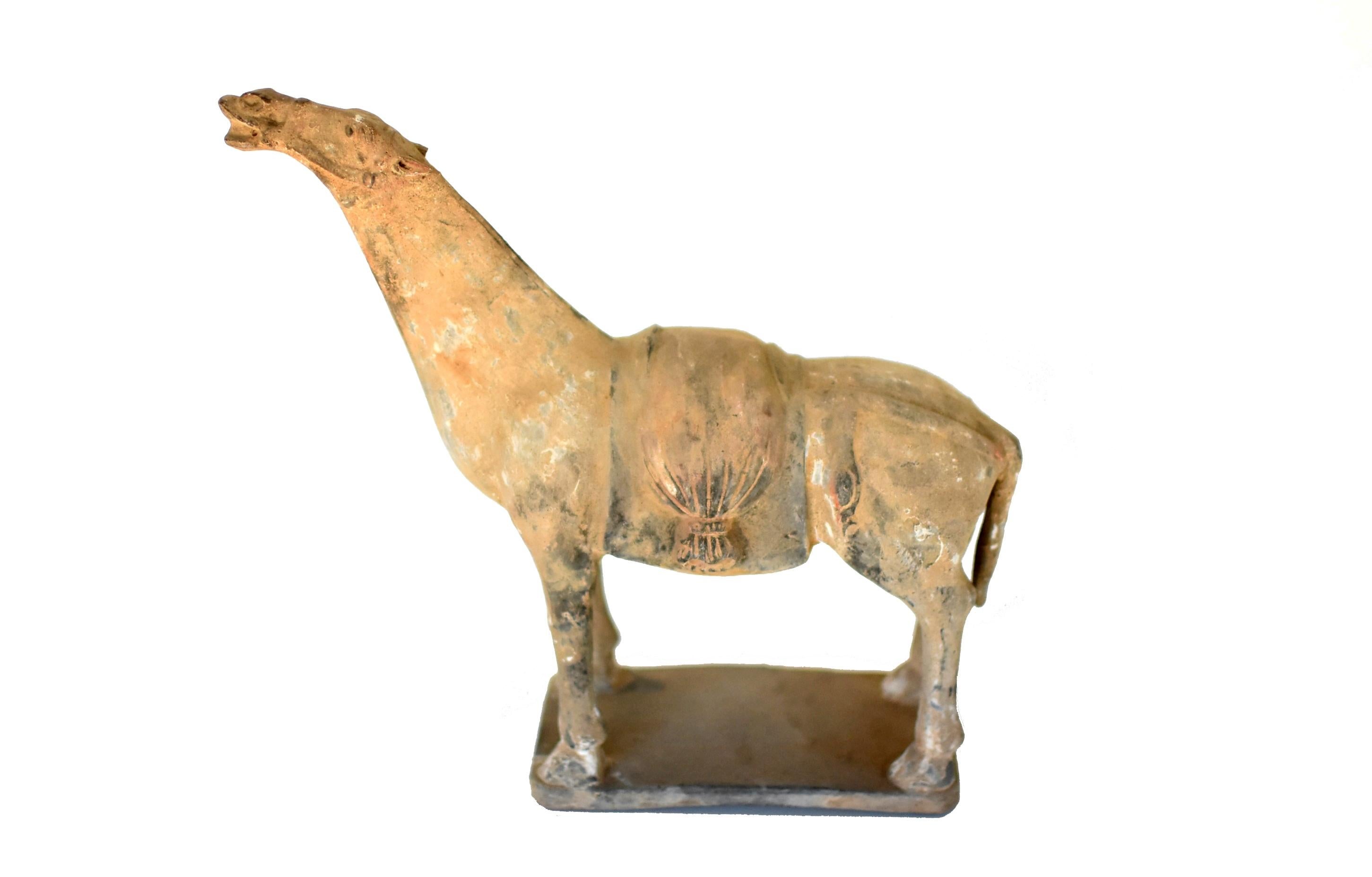 Han Style Terracotta Horse 2