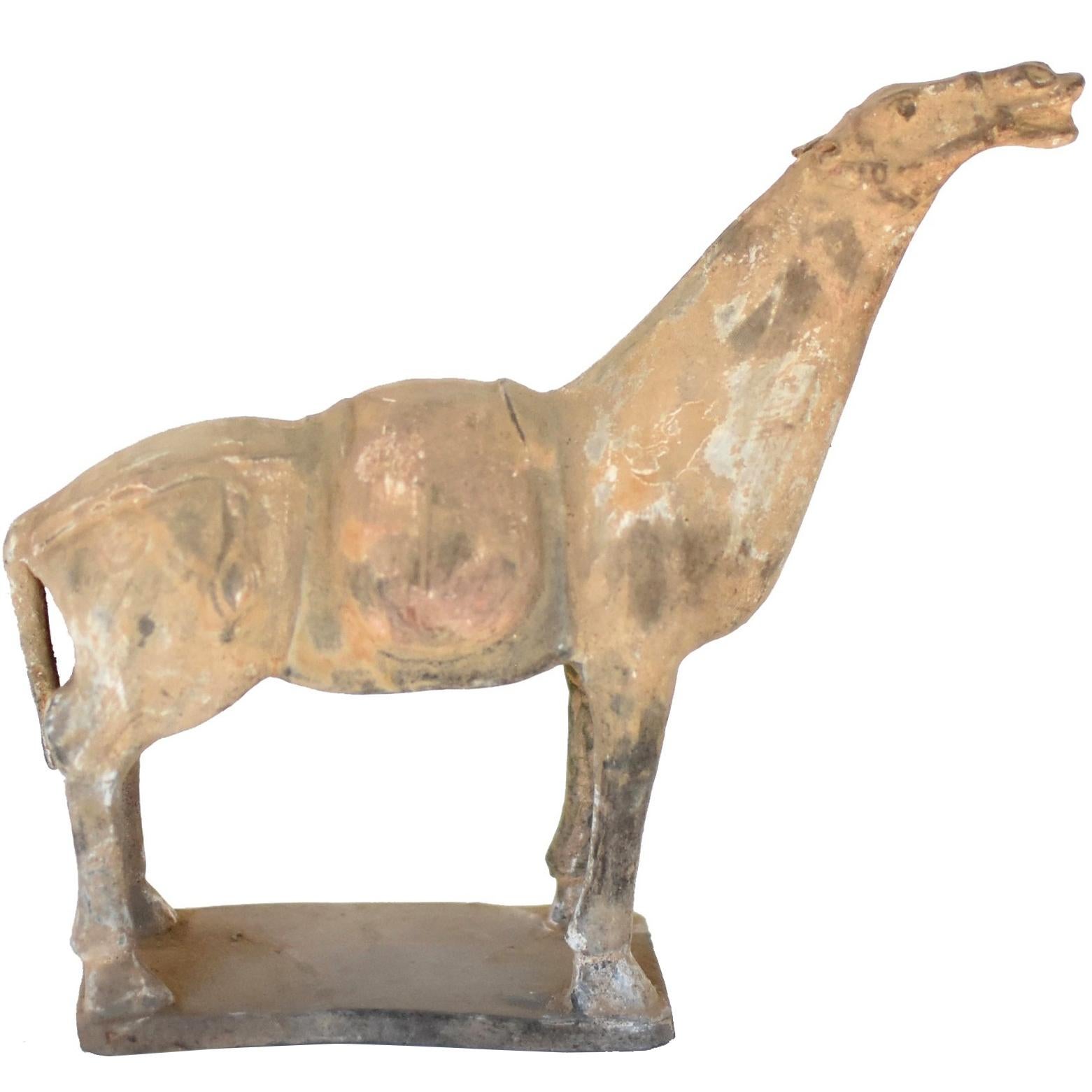 Han Style Terracotta Horse